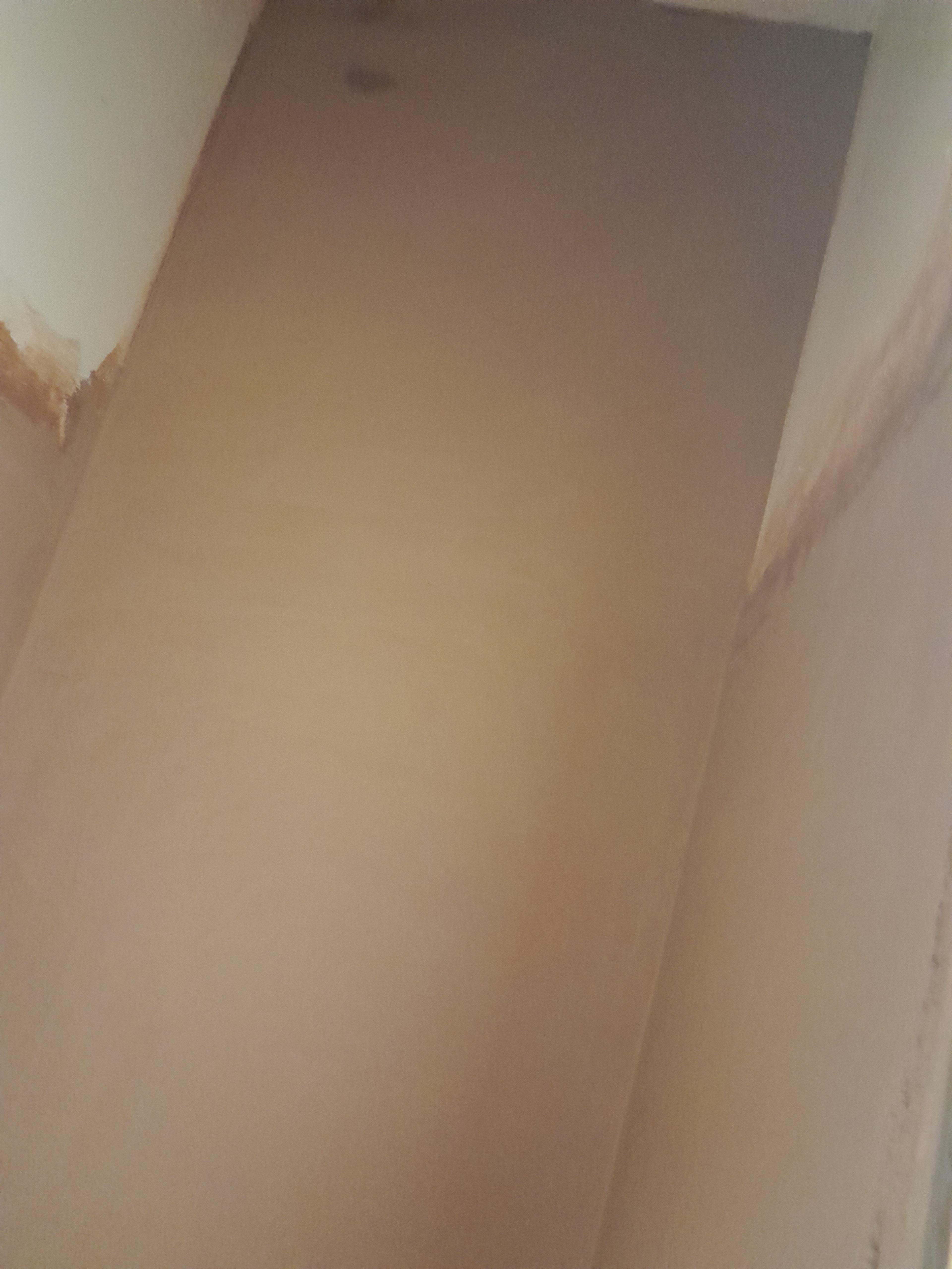 830a0915-338e-4e8c-ae8a-ceec4b5828e9.jpeg