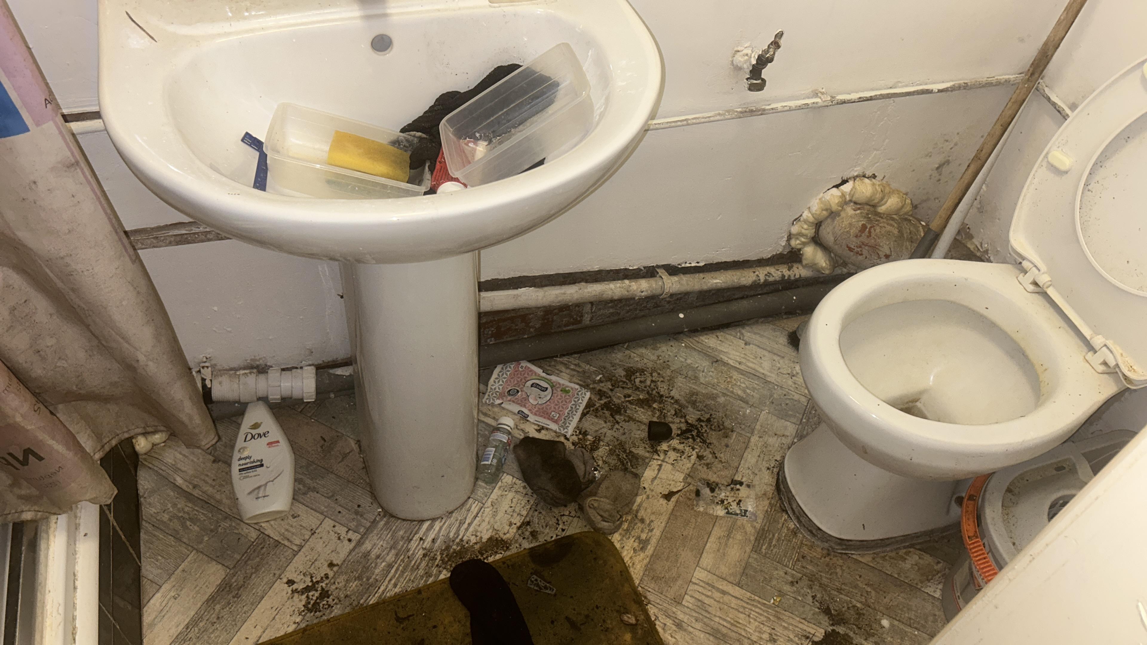 83332d06-26ab-40d0-bd3c-bb93bf791526.jpeg