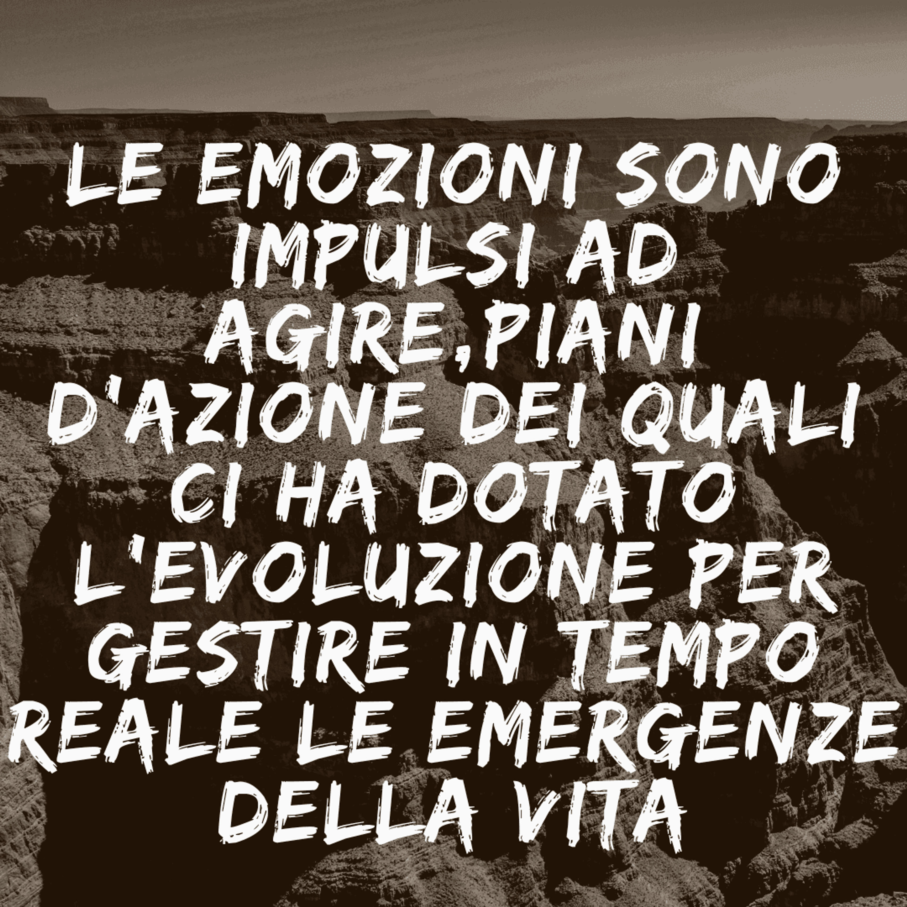 83929c6f-6d64-48c5-80a5-1b337e7ca2c0.png