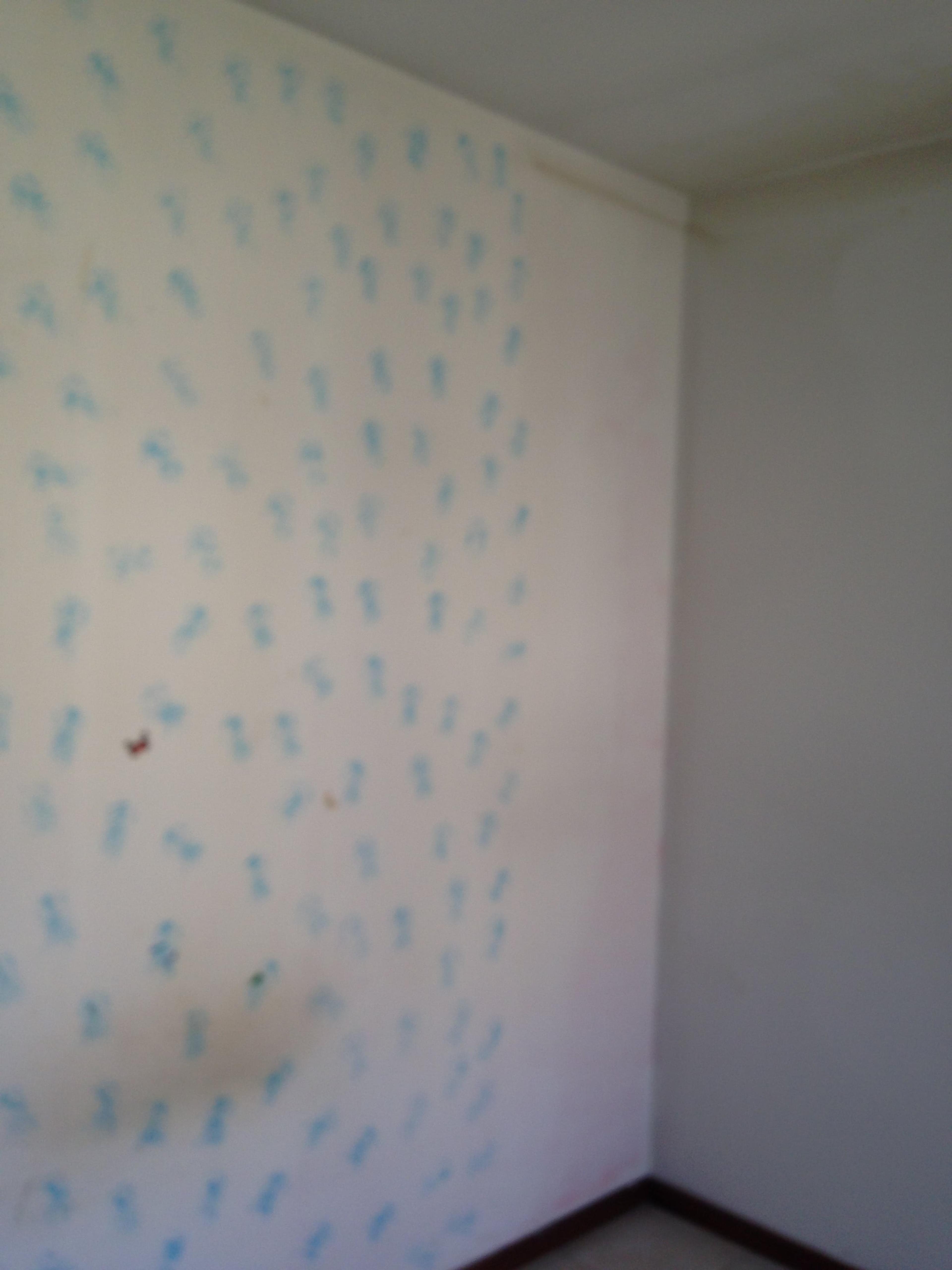 842ca08d-58f8-4ab1-8b8e-e3cffe1e938d.jpeg