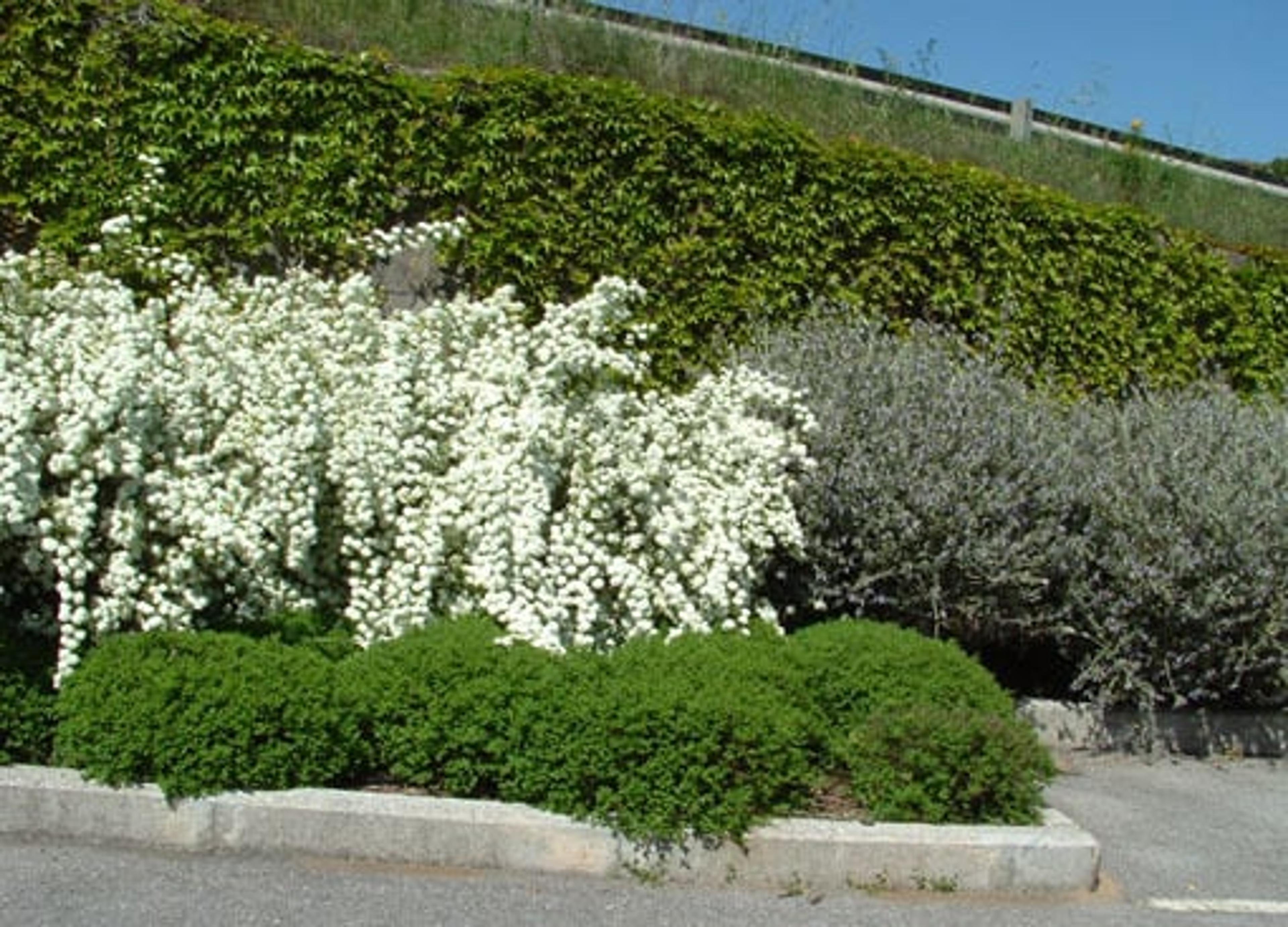 84438595-9bb1-4da5-bd04-031795d0cf60.jpg