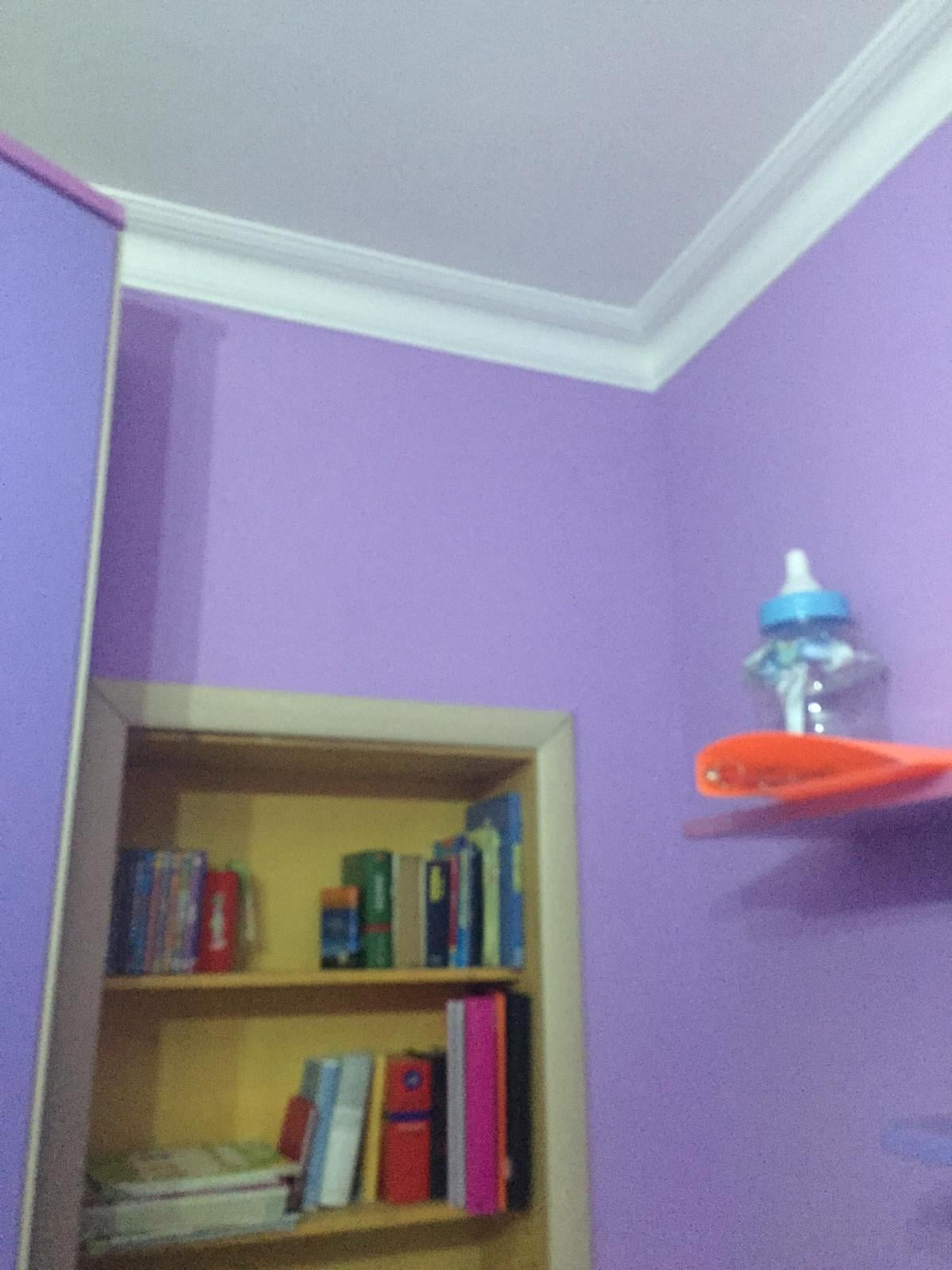 8551d50f-bccc-4adc-942e-d669e5edcdf0.jpeg