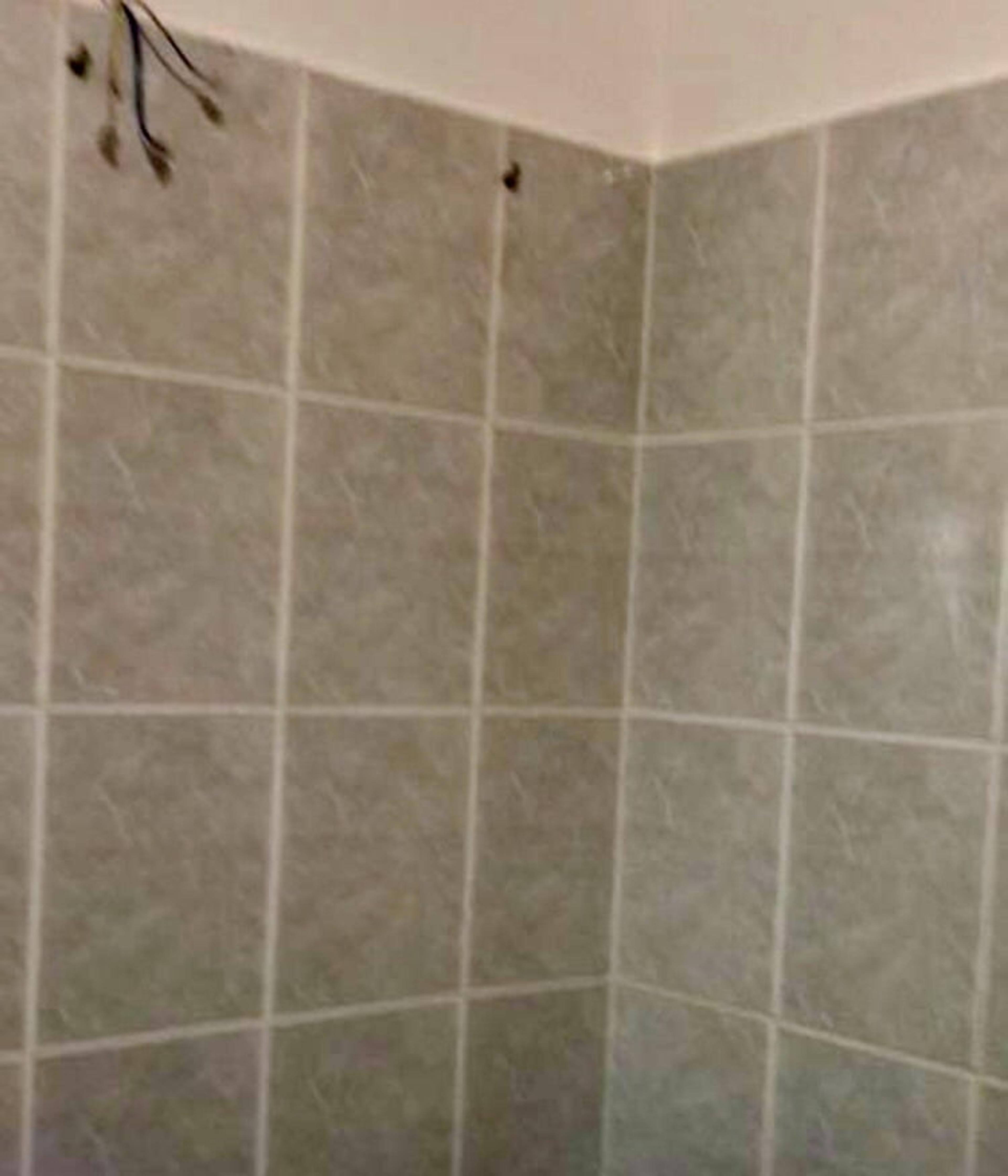 8559420d-1572-40e4-ae05-beff5d7124ec.jpeg