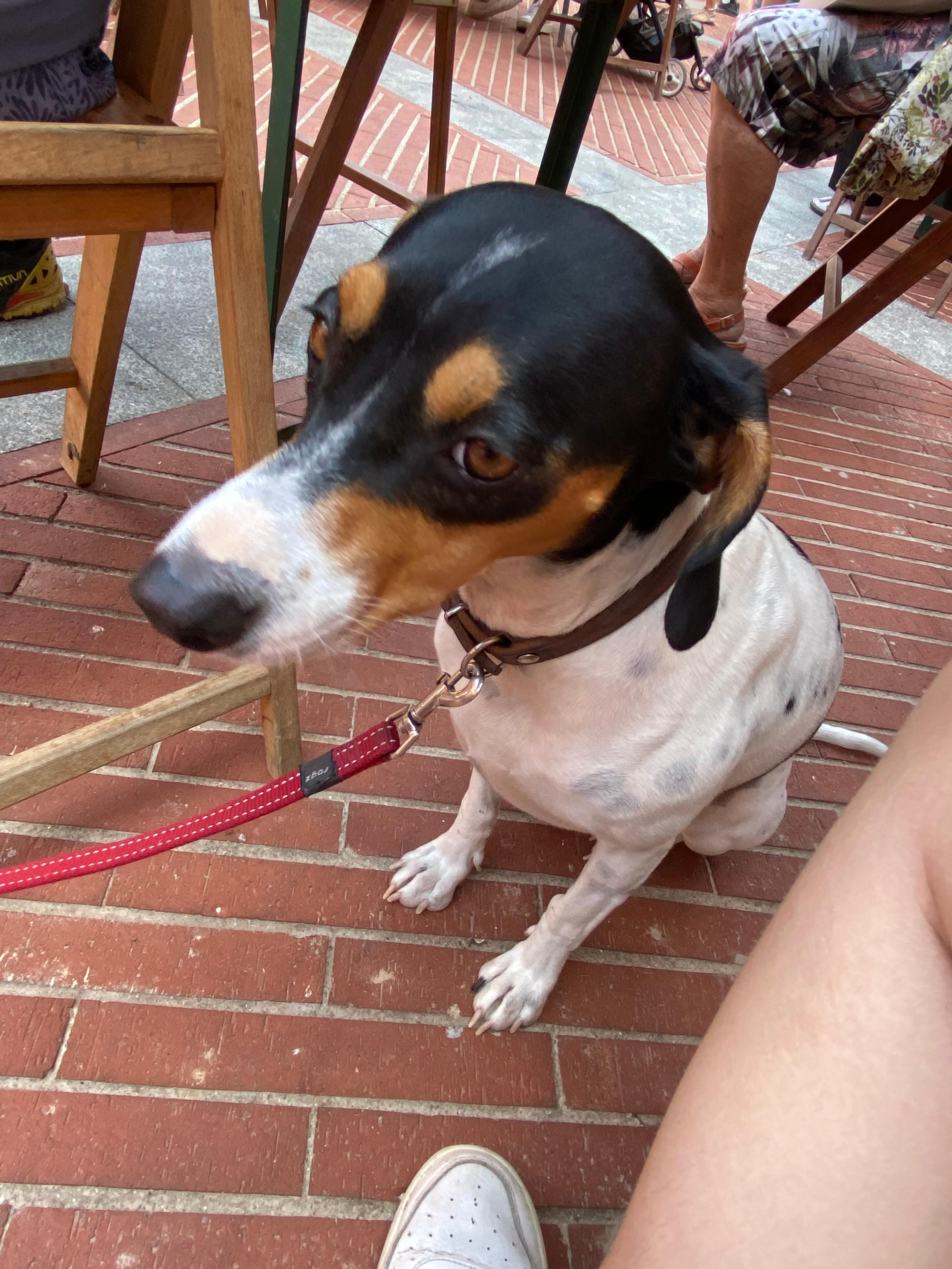 86a84086-1e7e-4953-bcb8-161bd3ffdf9d.jpeg