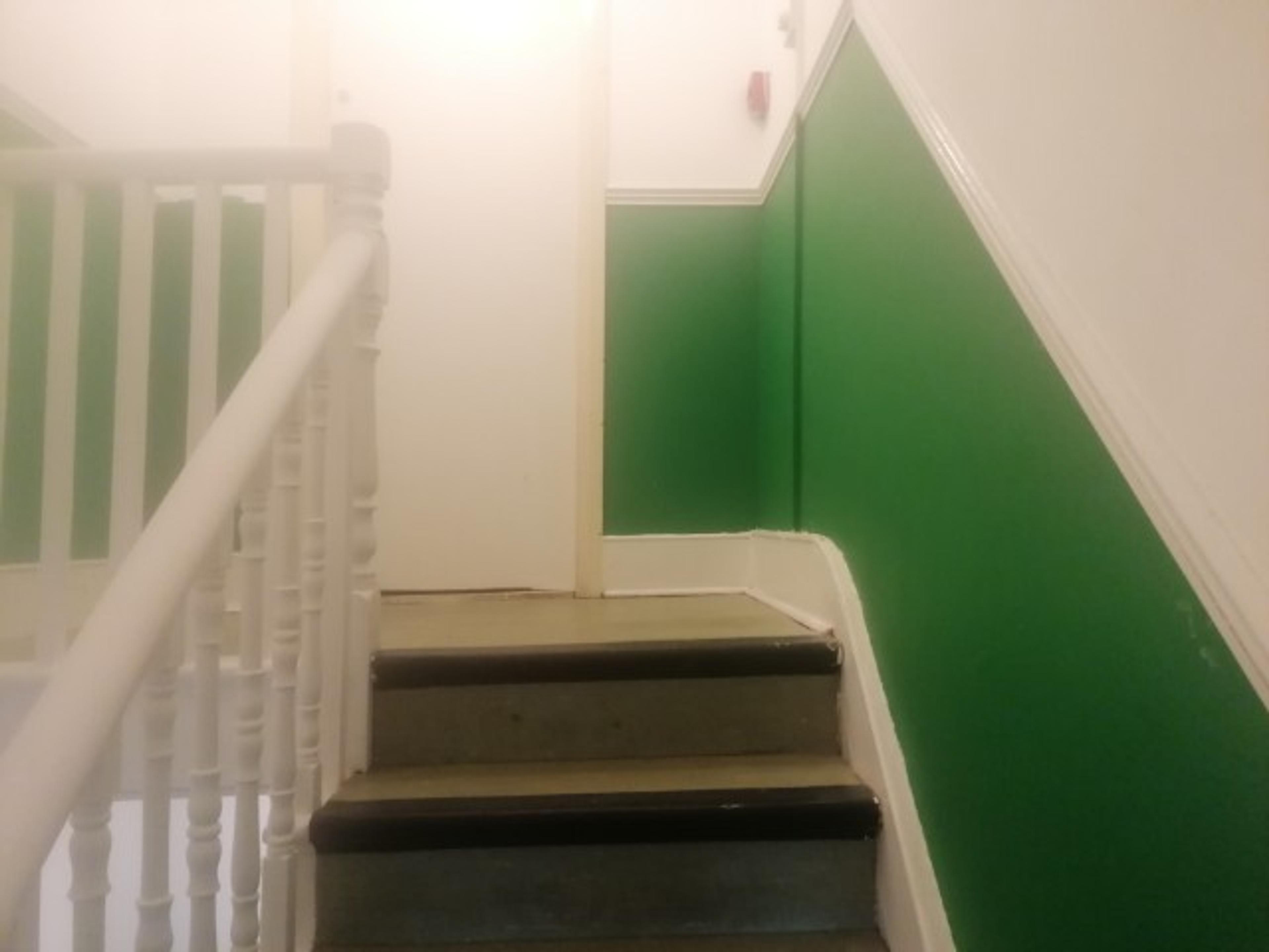 86cd6117-8ff6-437c-8336-f126378e7b25.jpeg
