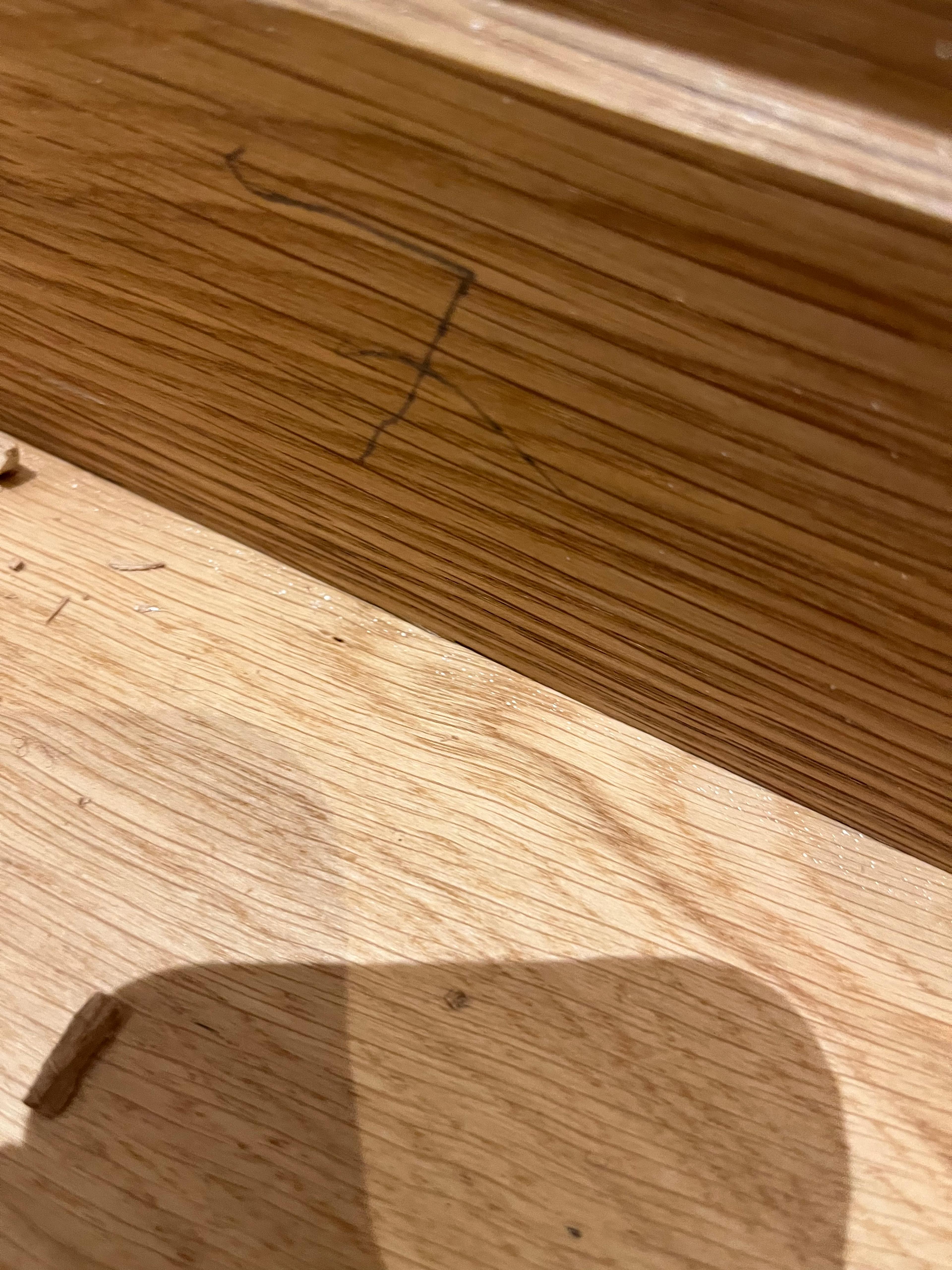 86f0b267-e87a-4e72-8737-ffdf55415d0d.jpeg