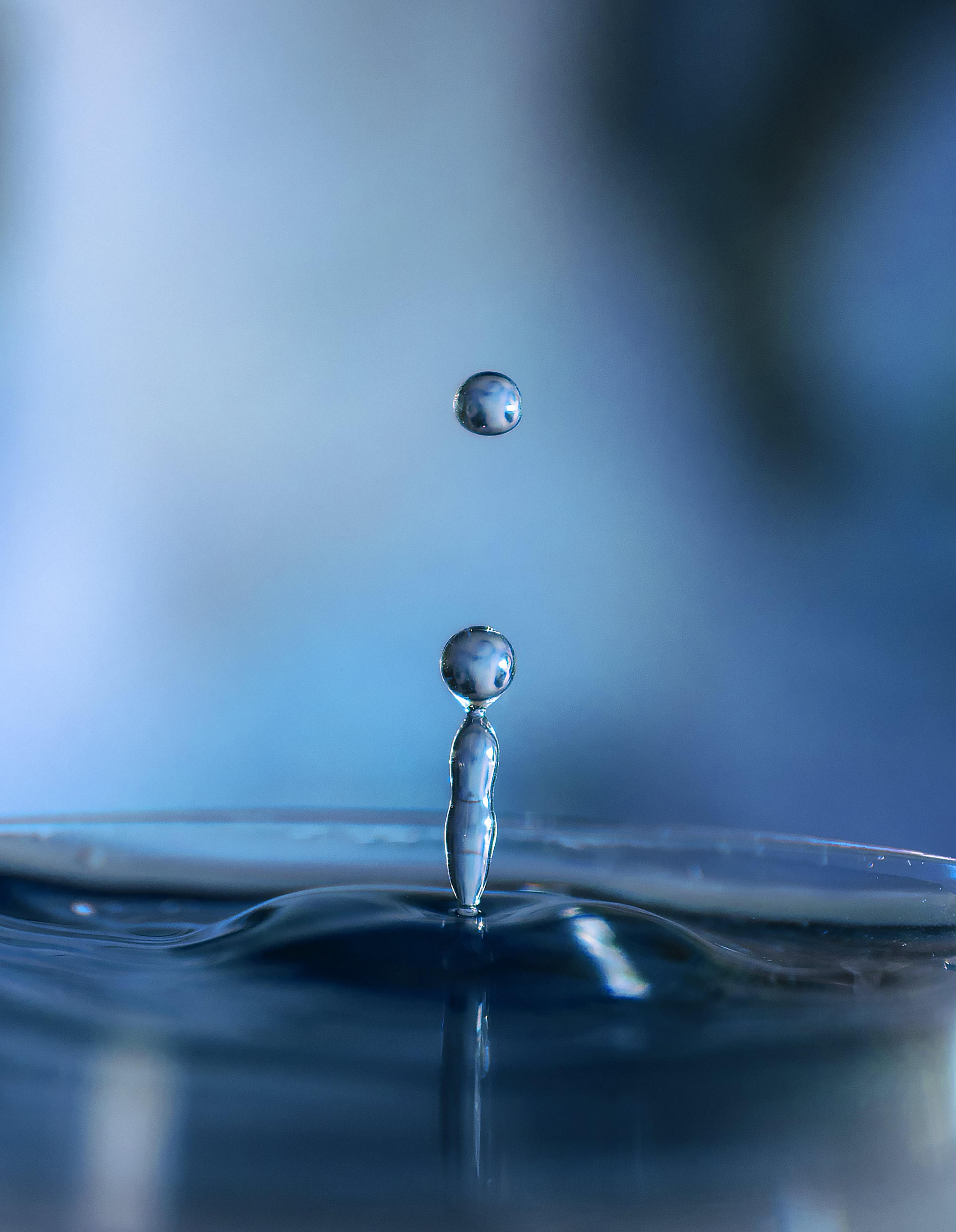 87ff0f0f-0b27-4117-9dc5-ef1955a9aa2d.jpeg
