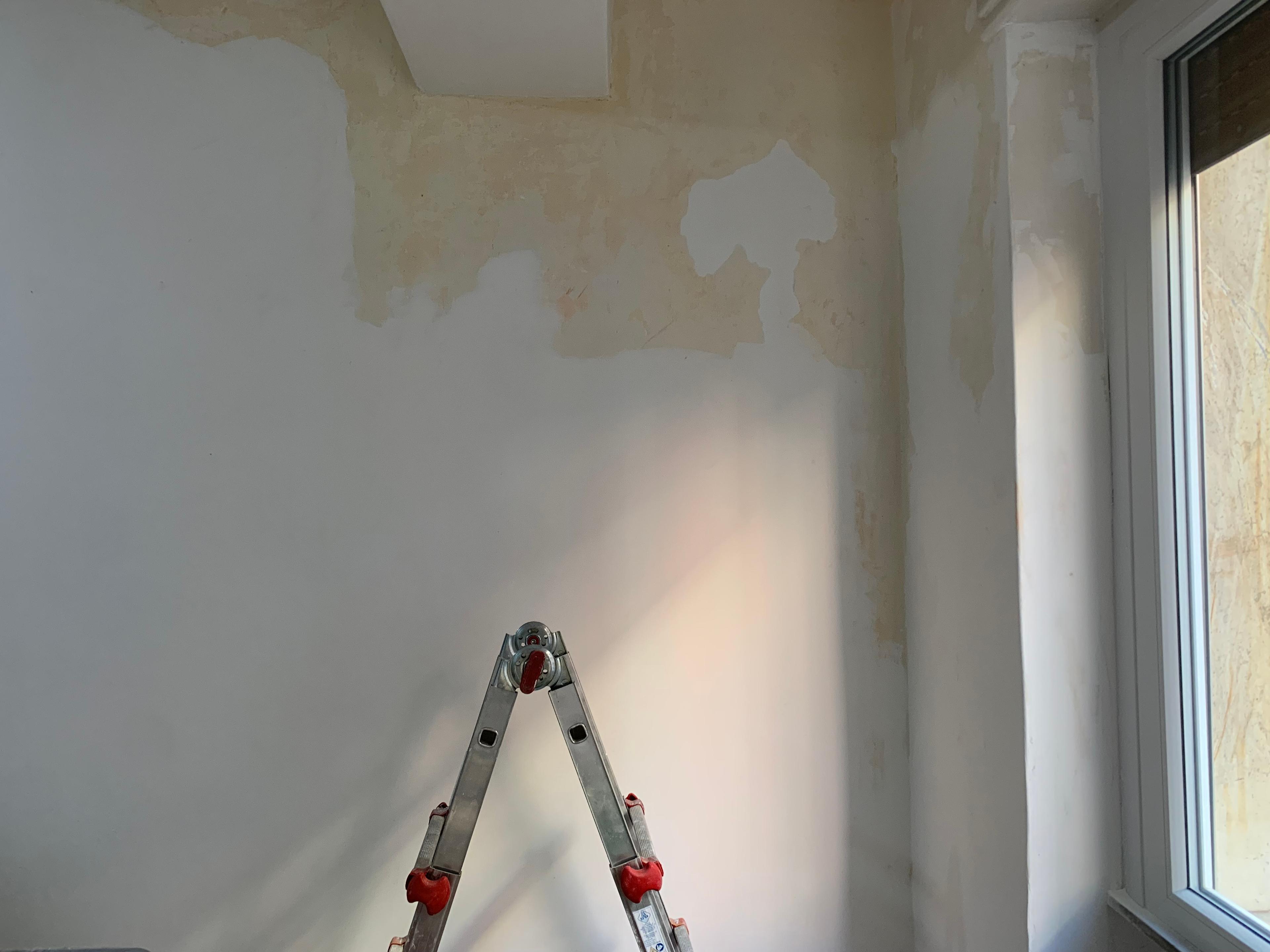 88184f3a-fcb3-47b8-837d-ab5f16835768.jpeg