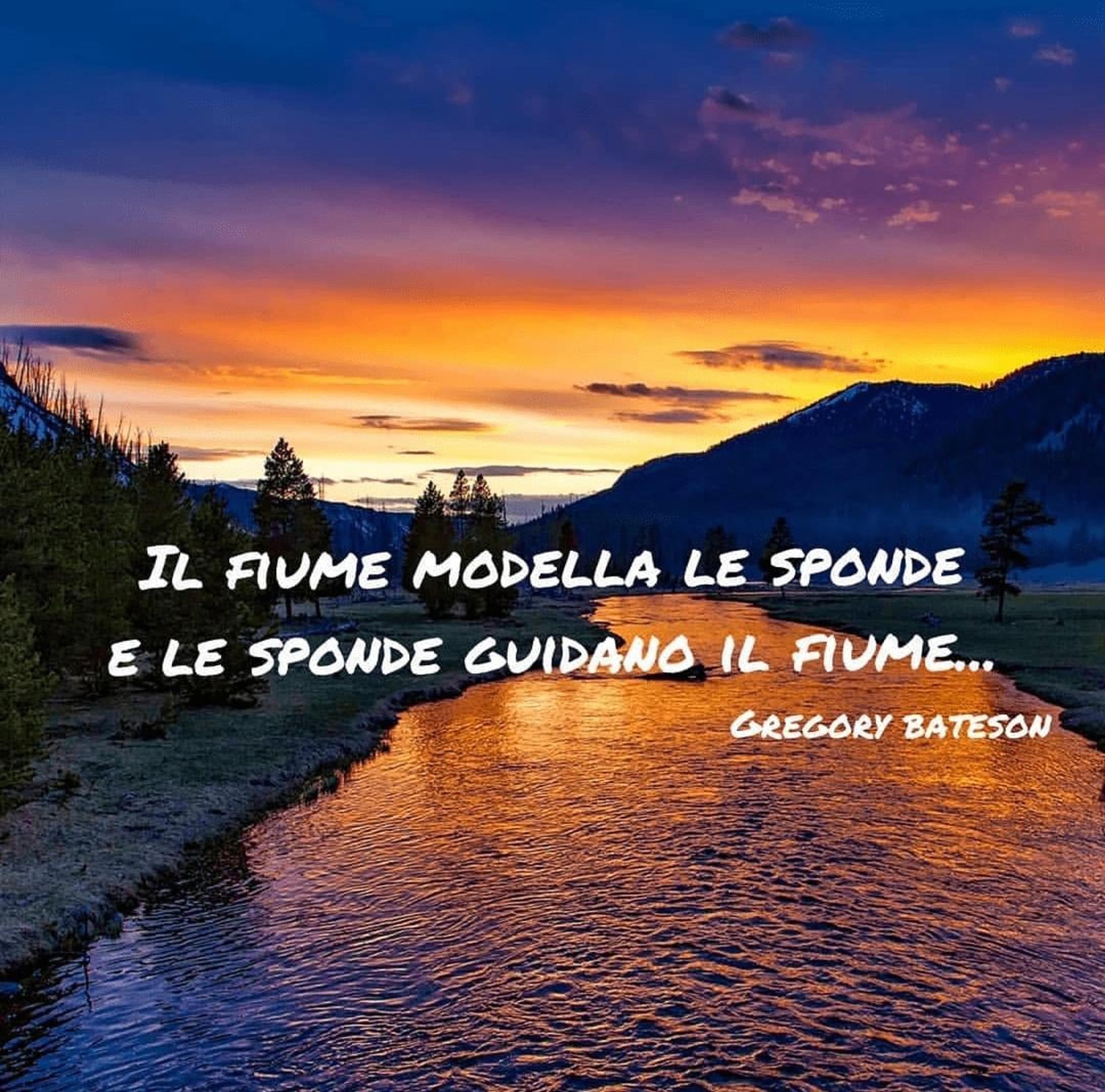 88a7061a-513a-4ef2-8804-8e617bca65d7.jpeg