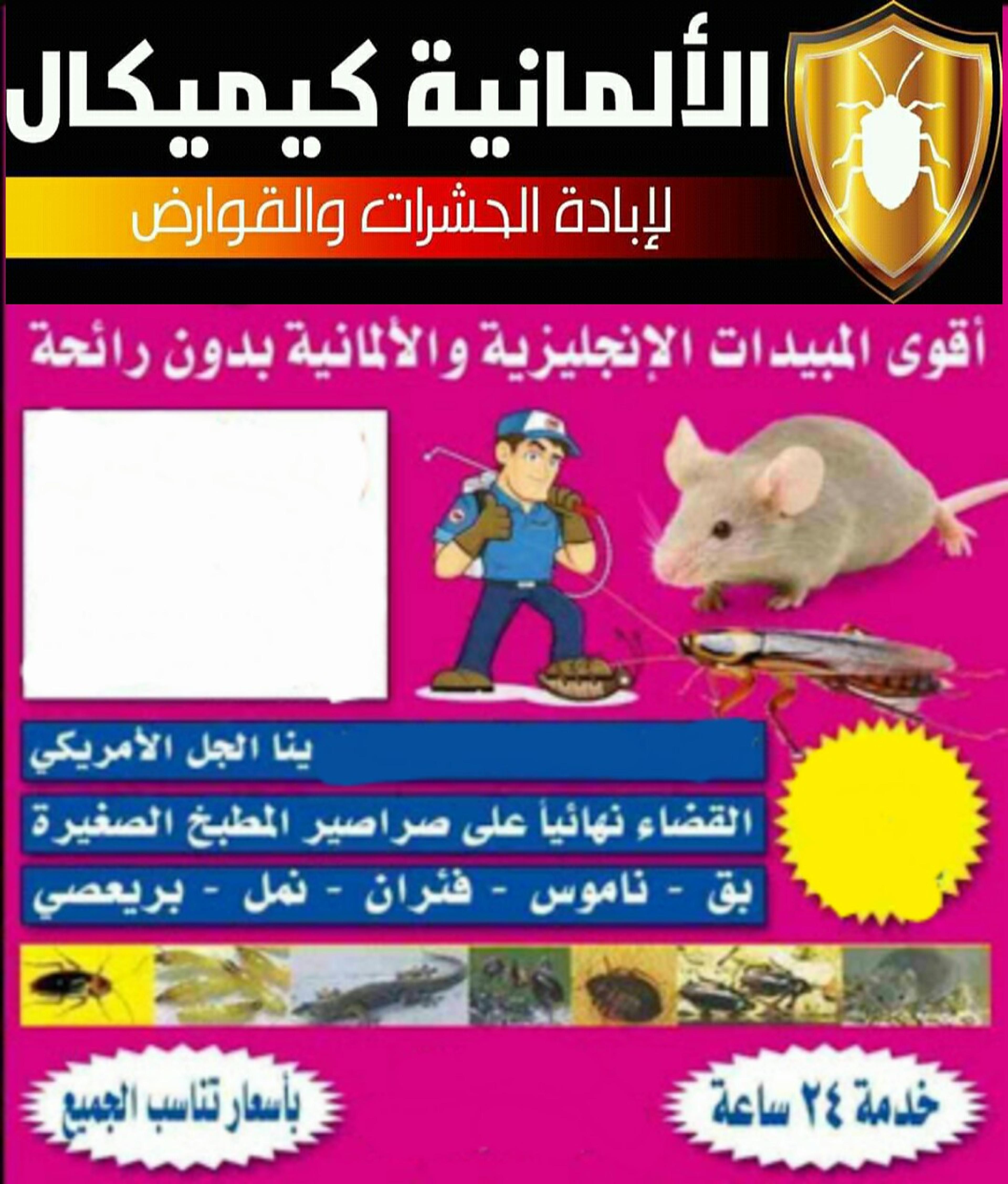 88bc4e7f-fb1a-4809-b34f-9e115bd5da3d.jpg