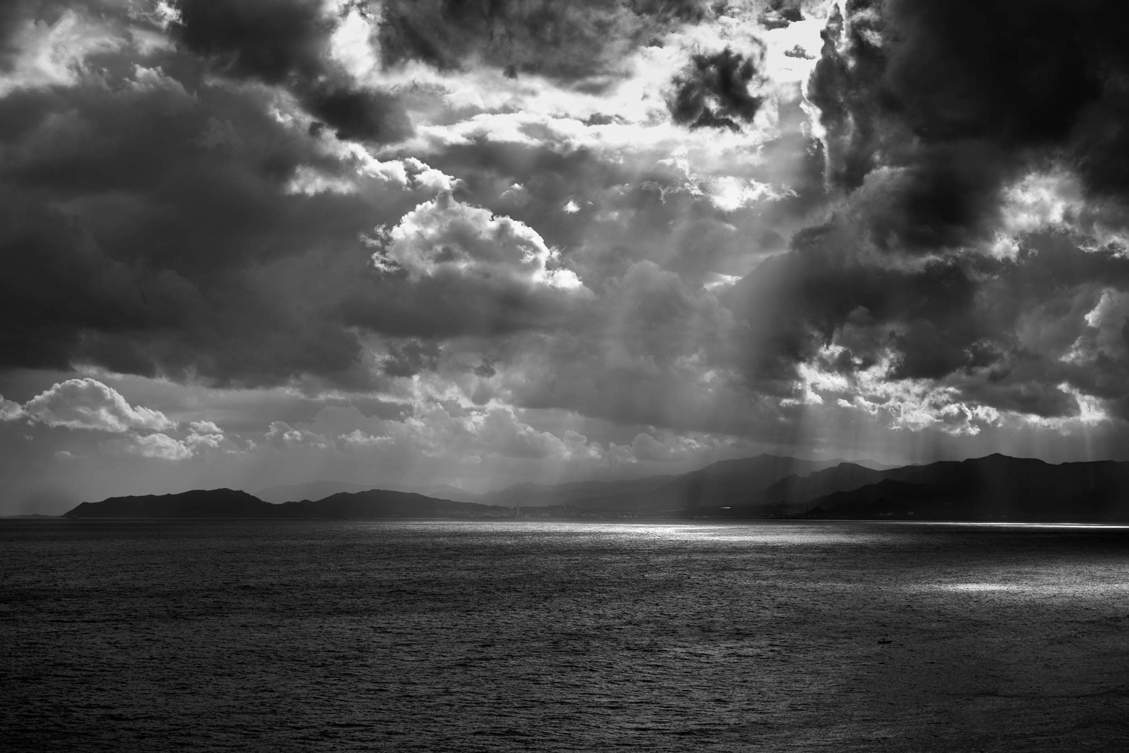 890d3e2e-16ca-4e80-82af-88b8a31ca59c.jpeg