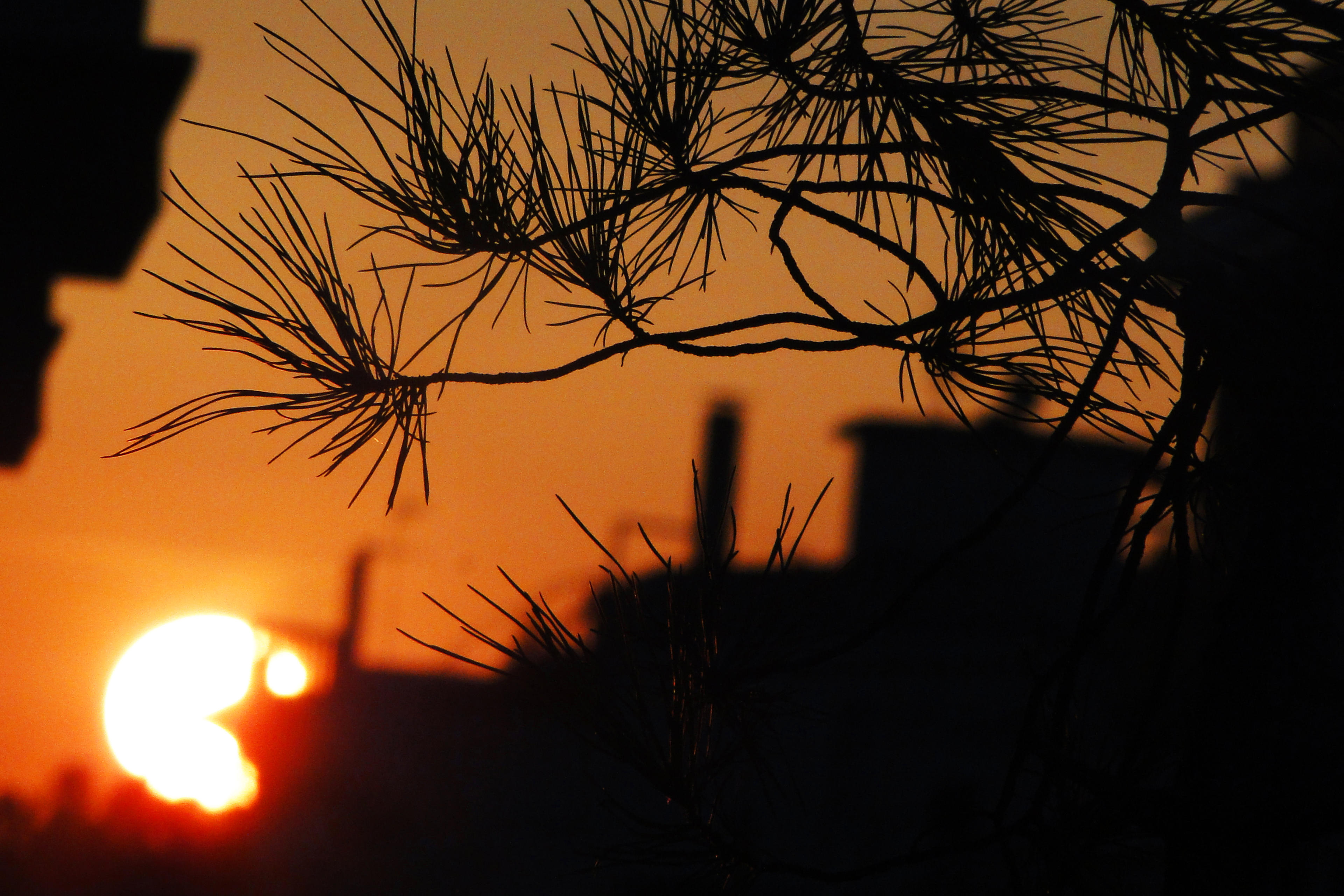 893cec49-b283-4e21-89b1-c56707b63a48.jpeg