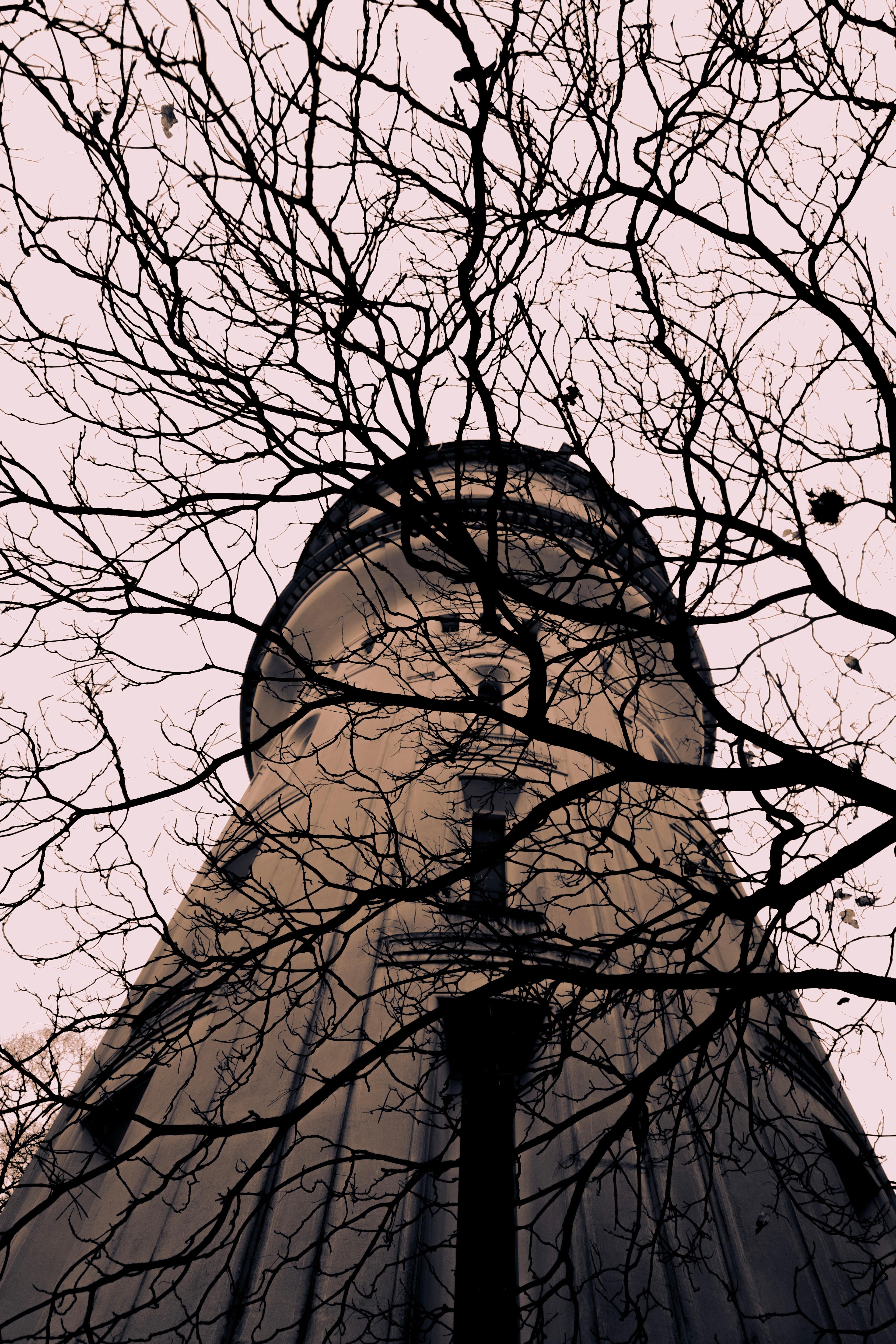 89a3c6a6-ae4c-40d6-acda-4c698e299331.jpeg