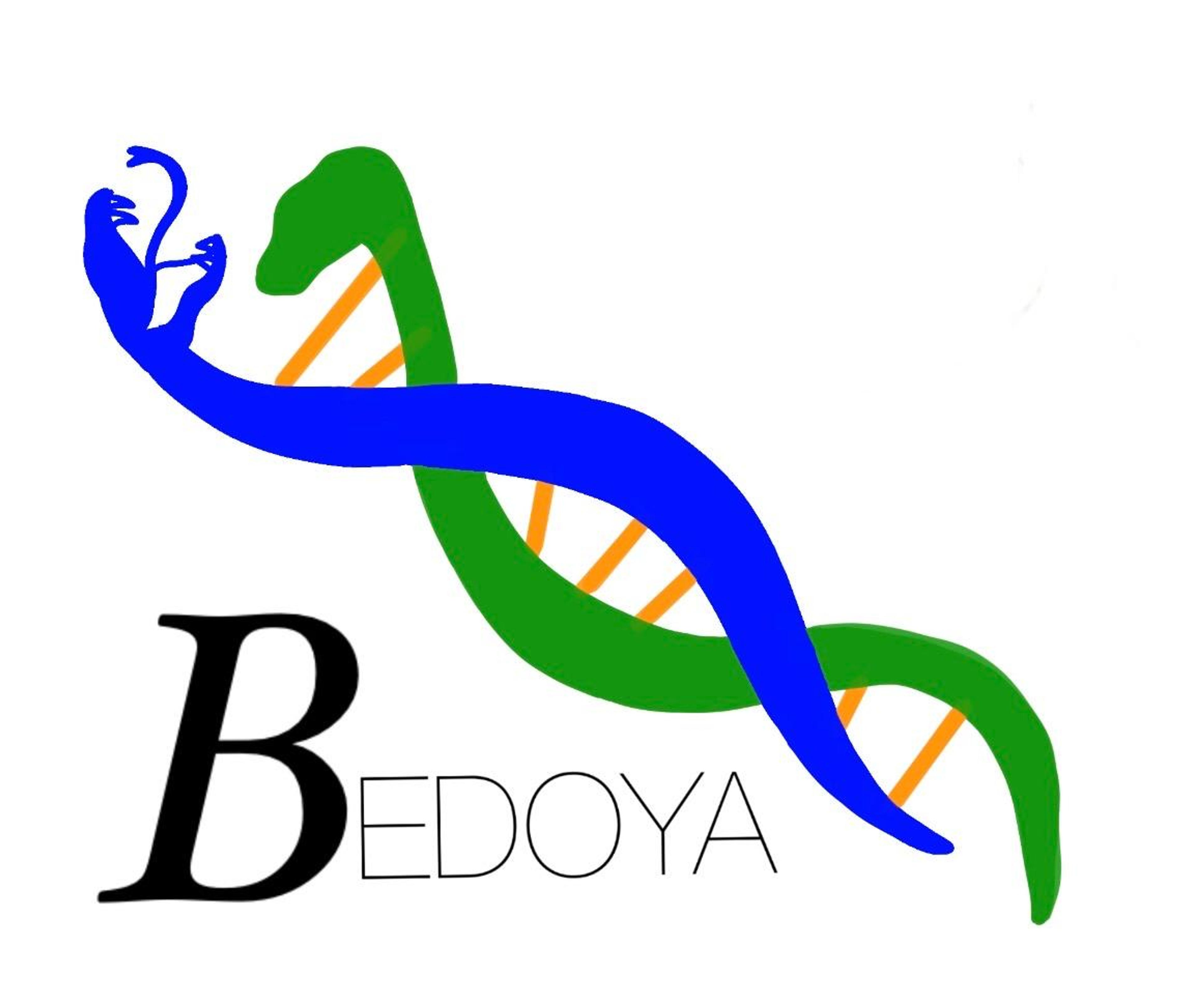 89ad09ae-d8b4-4bef-8ffb-fd5ad52a243f.jpeg
