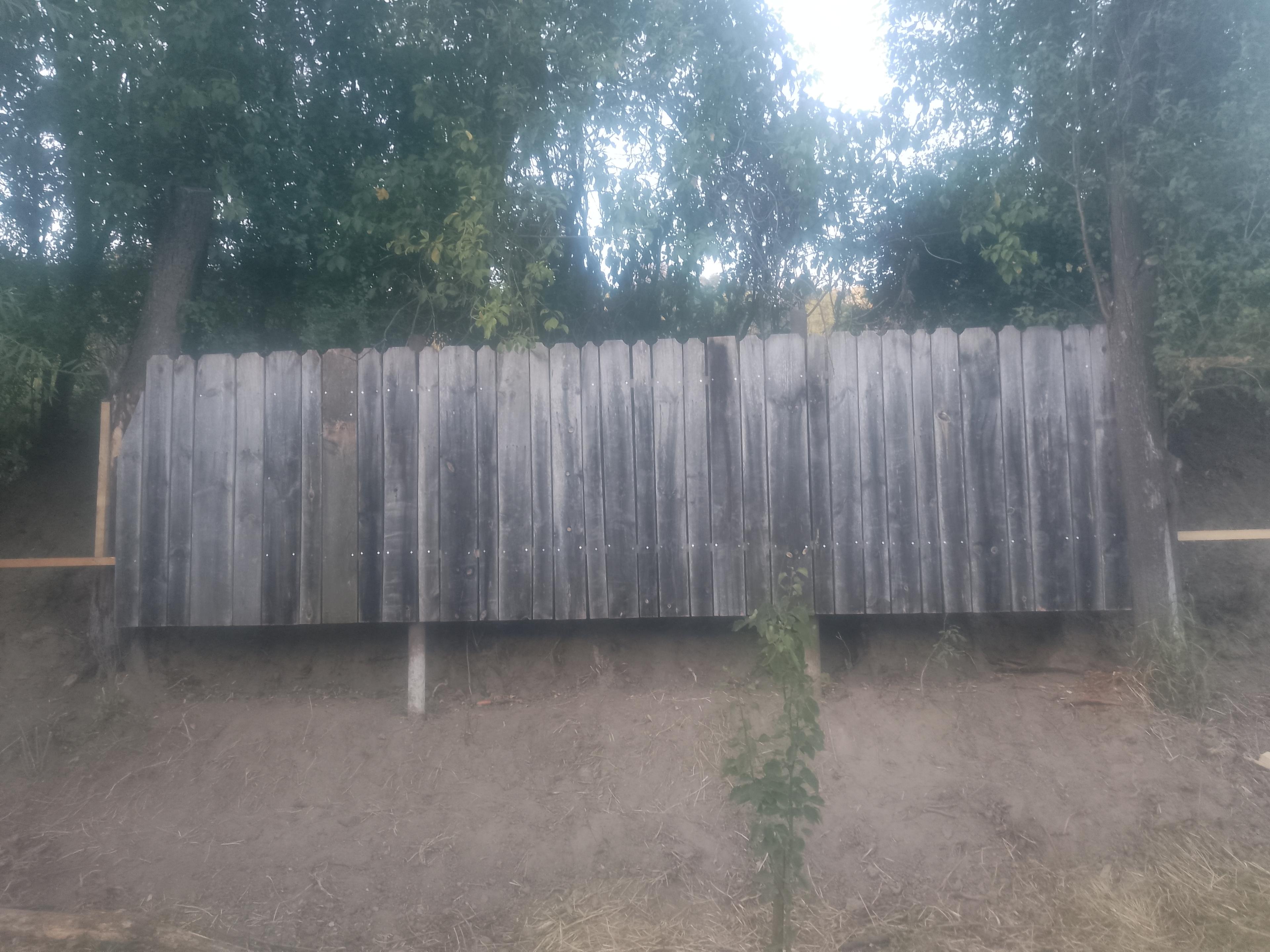 8a52322d-6f34-42a3-8c07-be6c563da842.jpeg