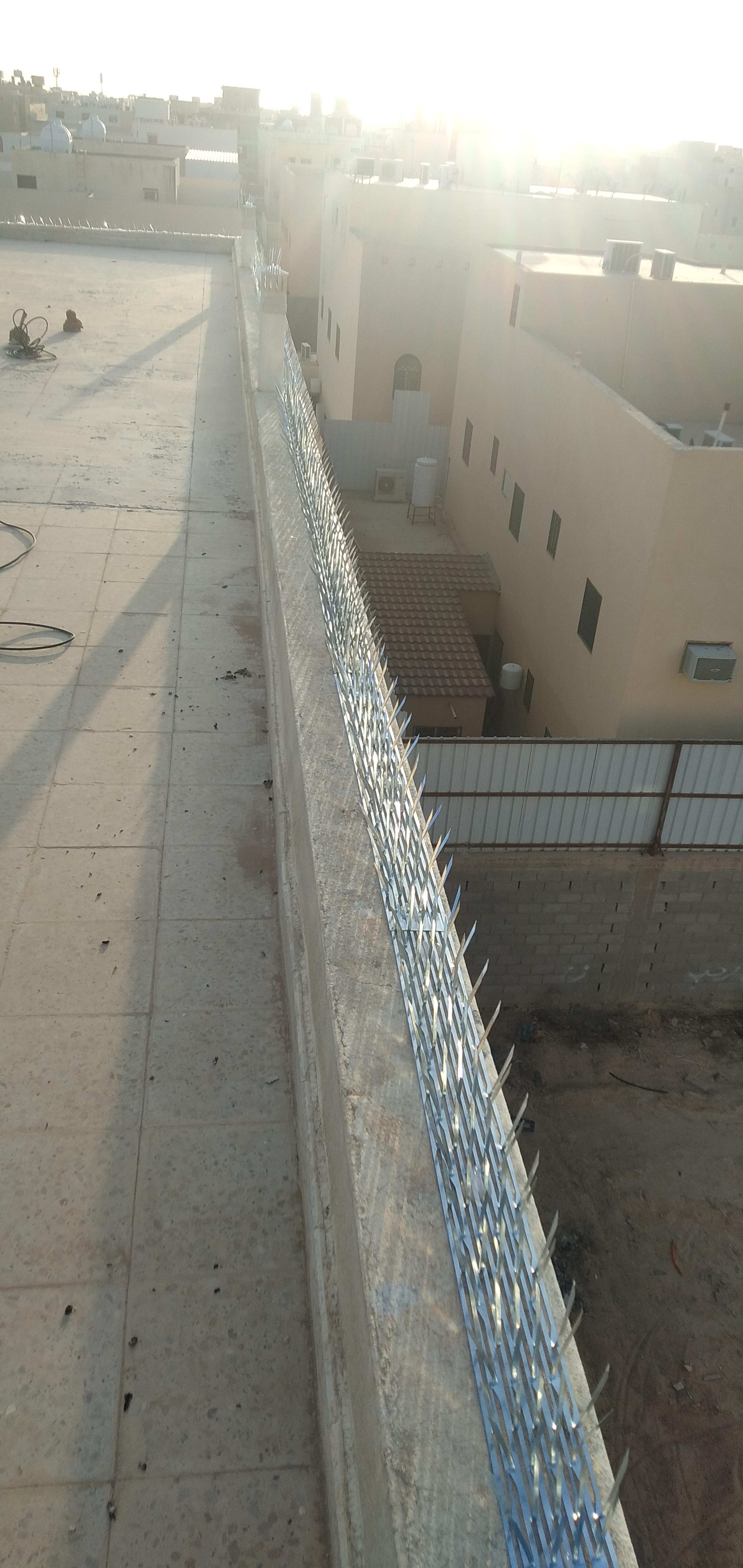8ad97a2d-4699-44f7-9f9e-9cc0356e077e.jpeg