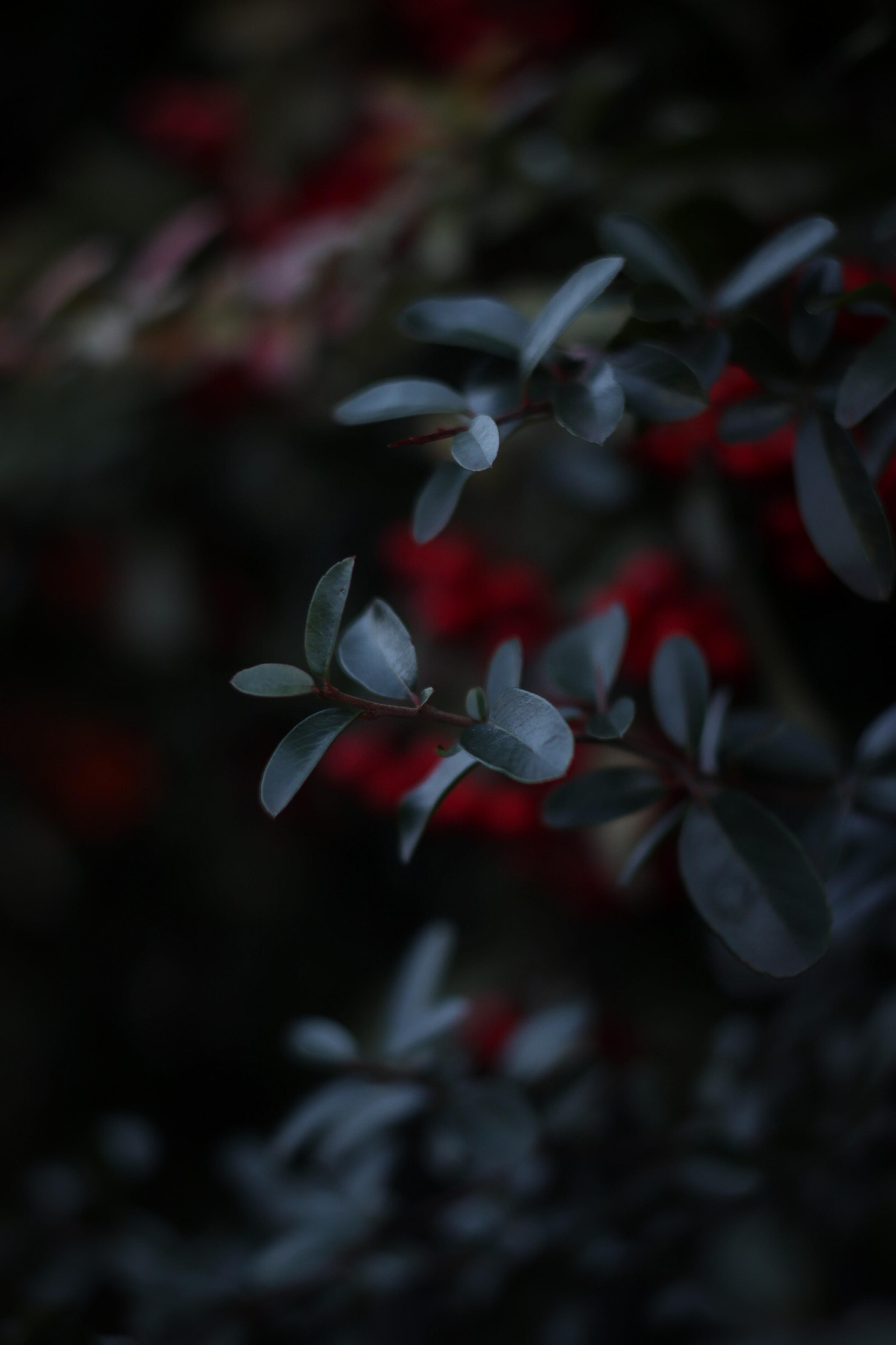 8b236e43-018e-48e0-ba23-45d2cf88d0cb.jpeg