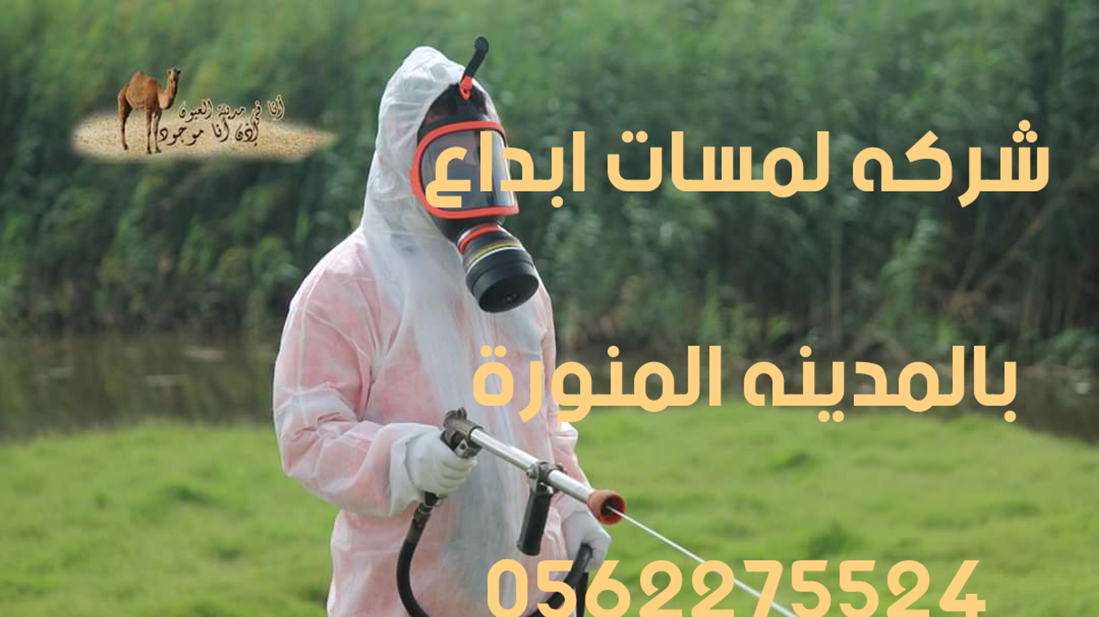 8b4e38ca-1f3a-4422-8558-8affdf91df81.png