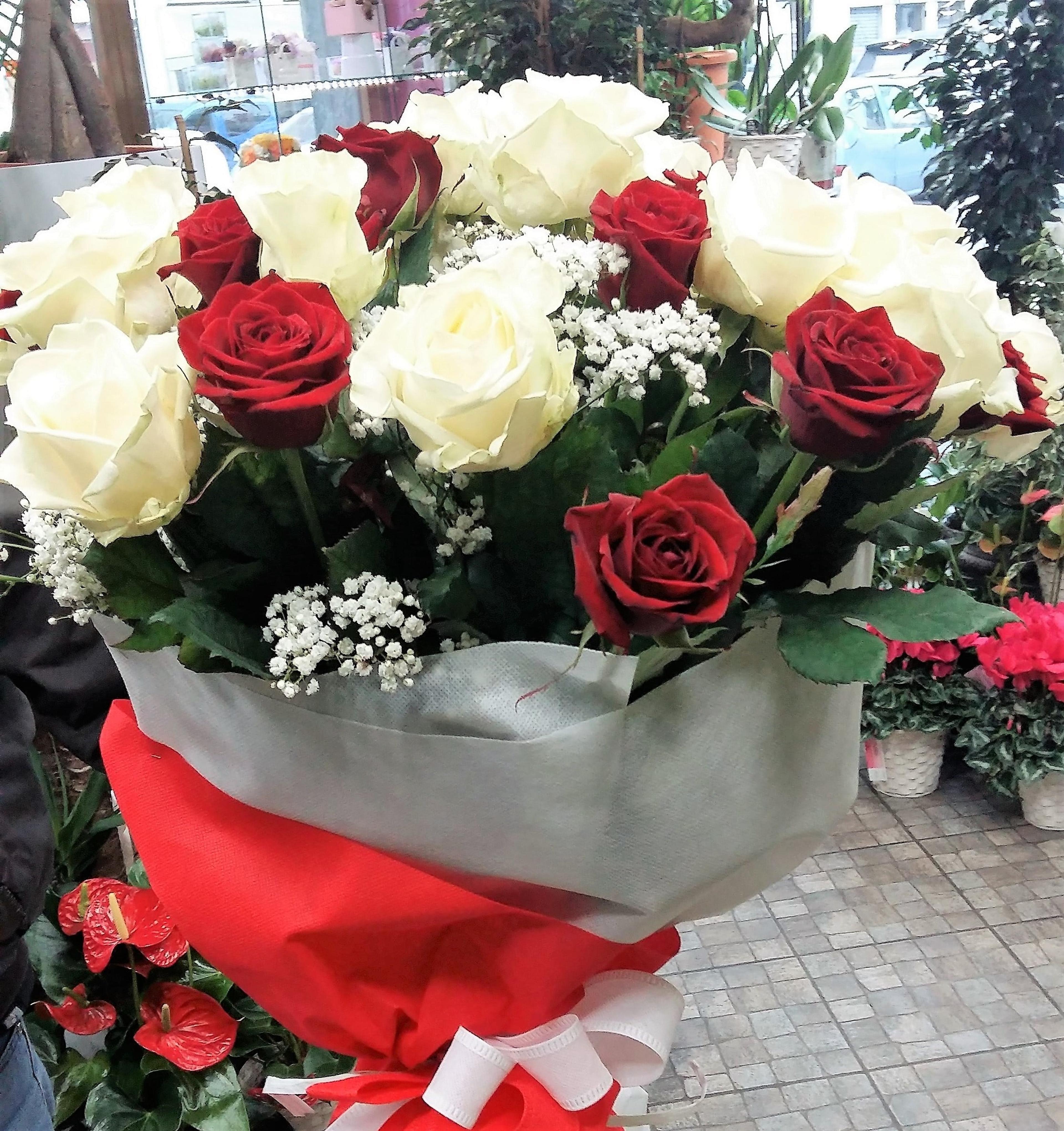 8b775aac-7b83-4b9e-a9d9-c23bc4c44c11.jpg