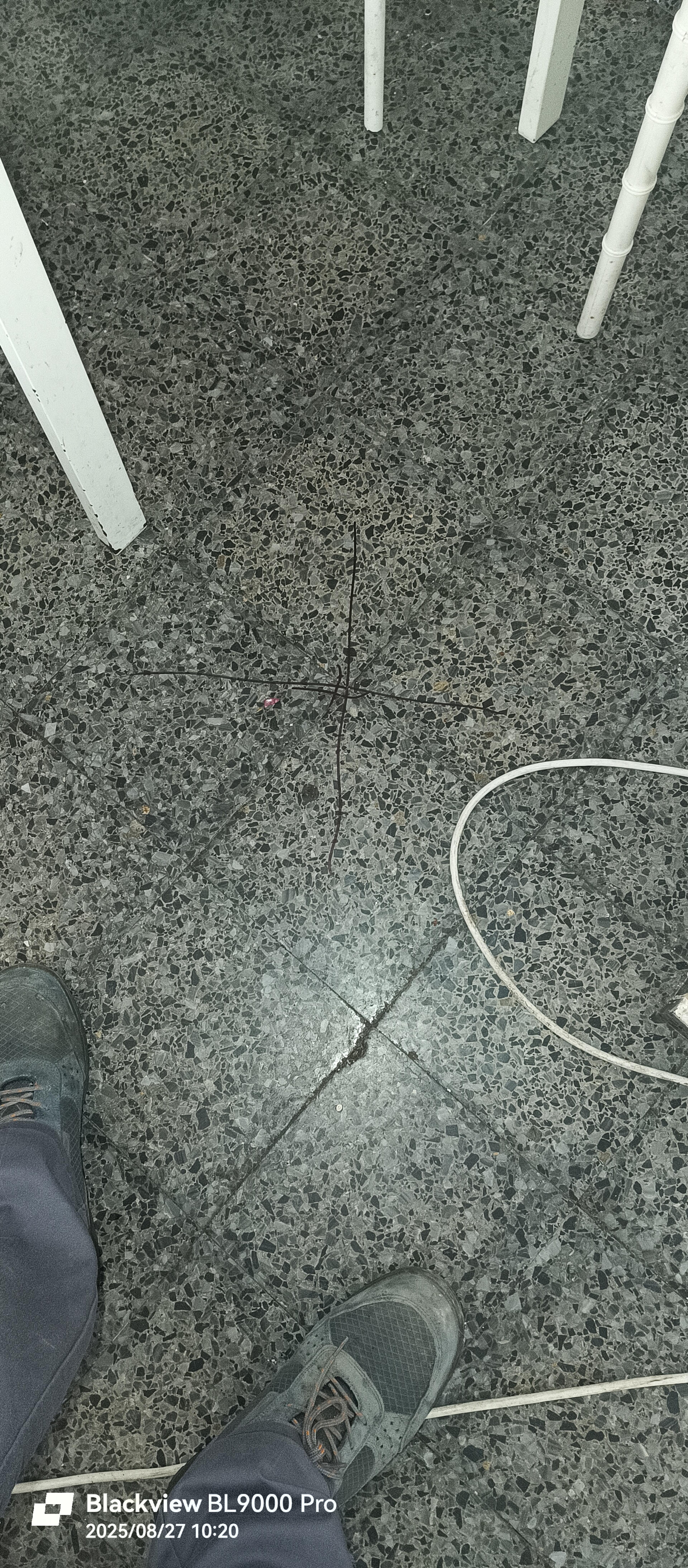 8bfafb37-65c0-403f-a5fa-c9e785763bda.jpeg