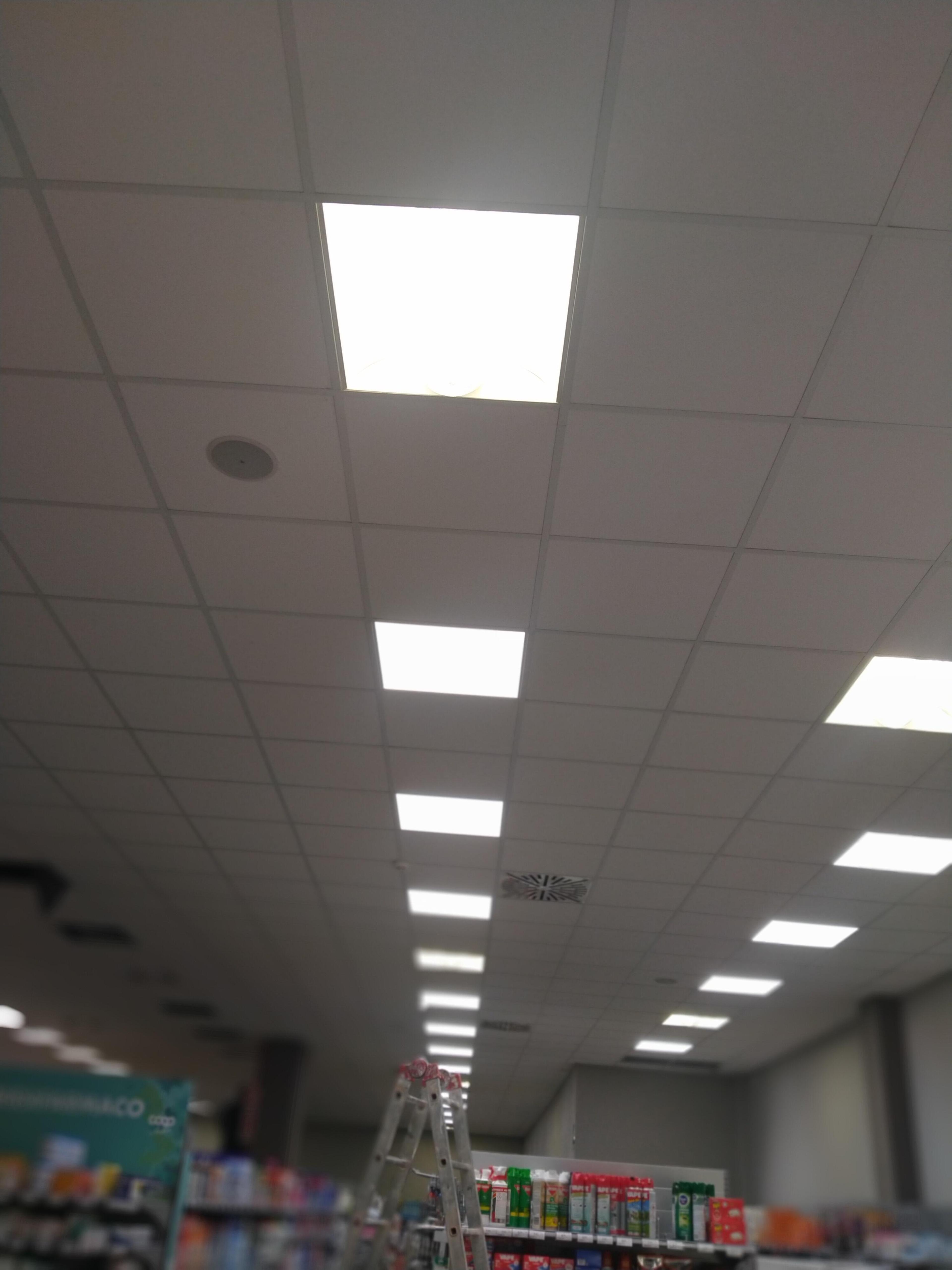 8c23b861-ba05-4376-a1a4-78810dabdd4f.jpeg