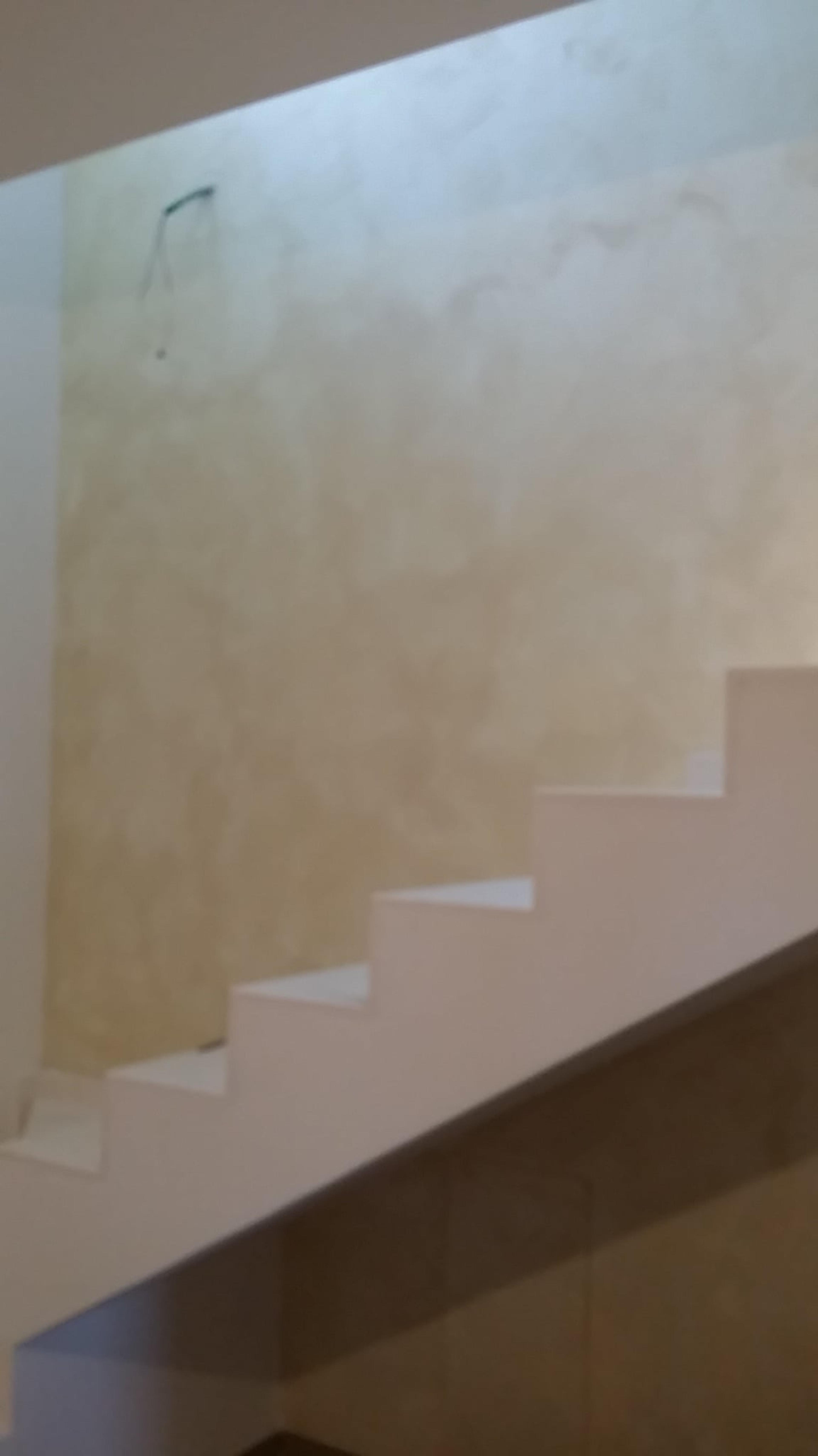 8c2dc04c-790d-4d1b-82a6-db05846bc8ca.jpeg