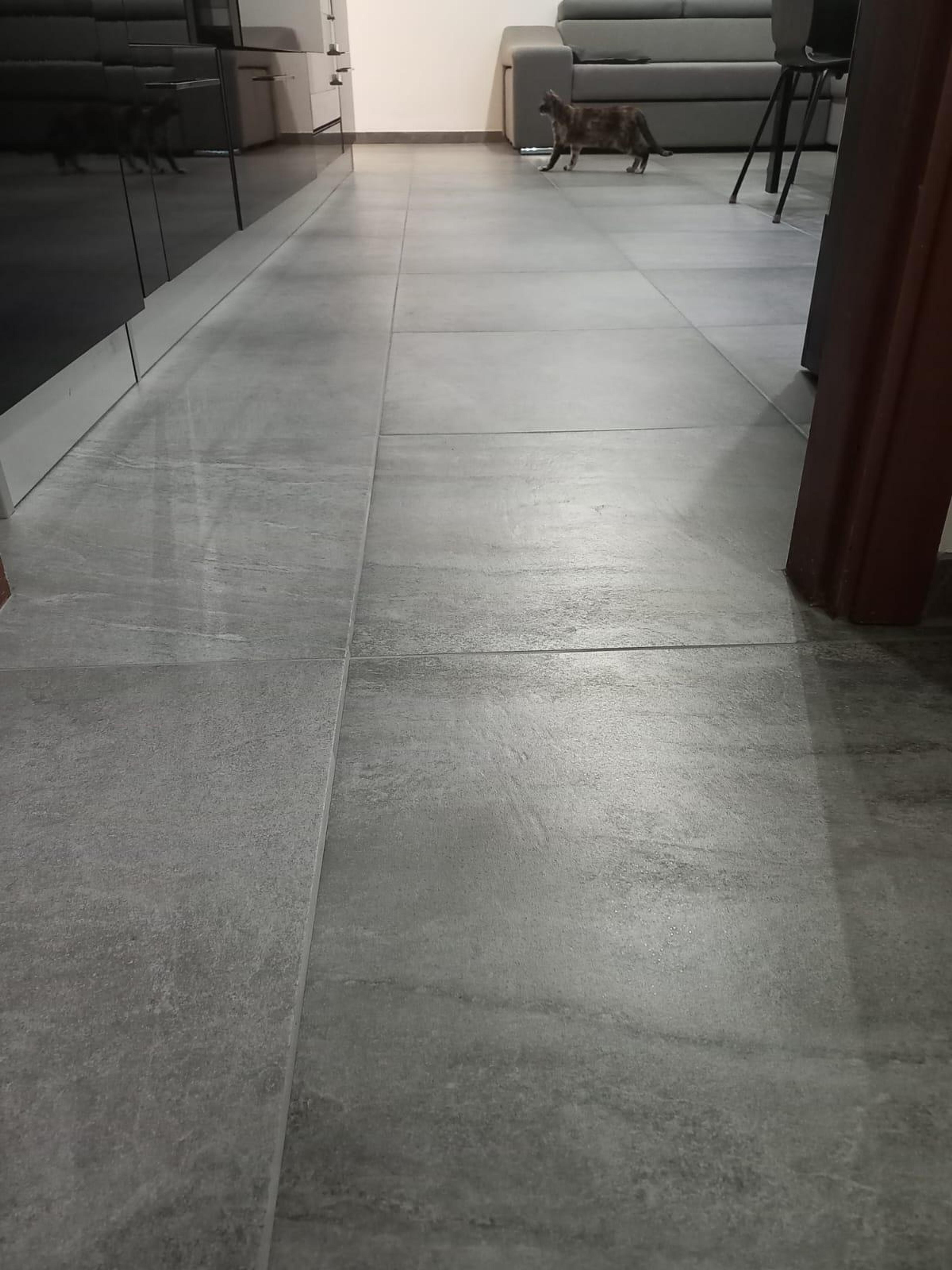 8cc7de89-bede-45fa-827b-d6883fb9f911.jpeg