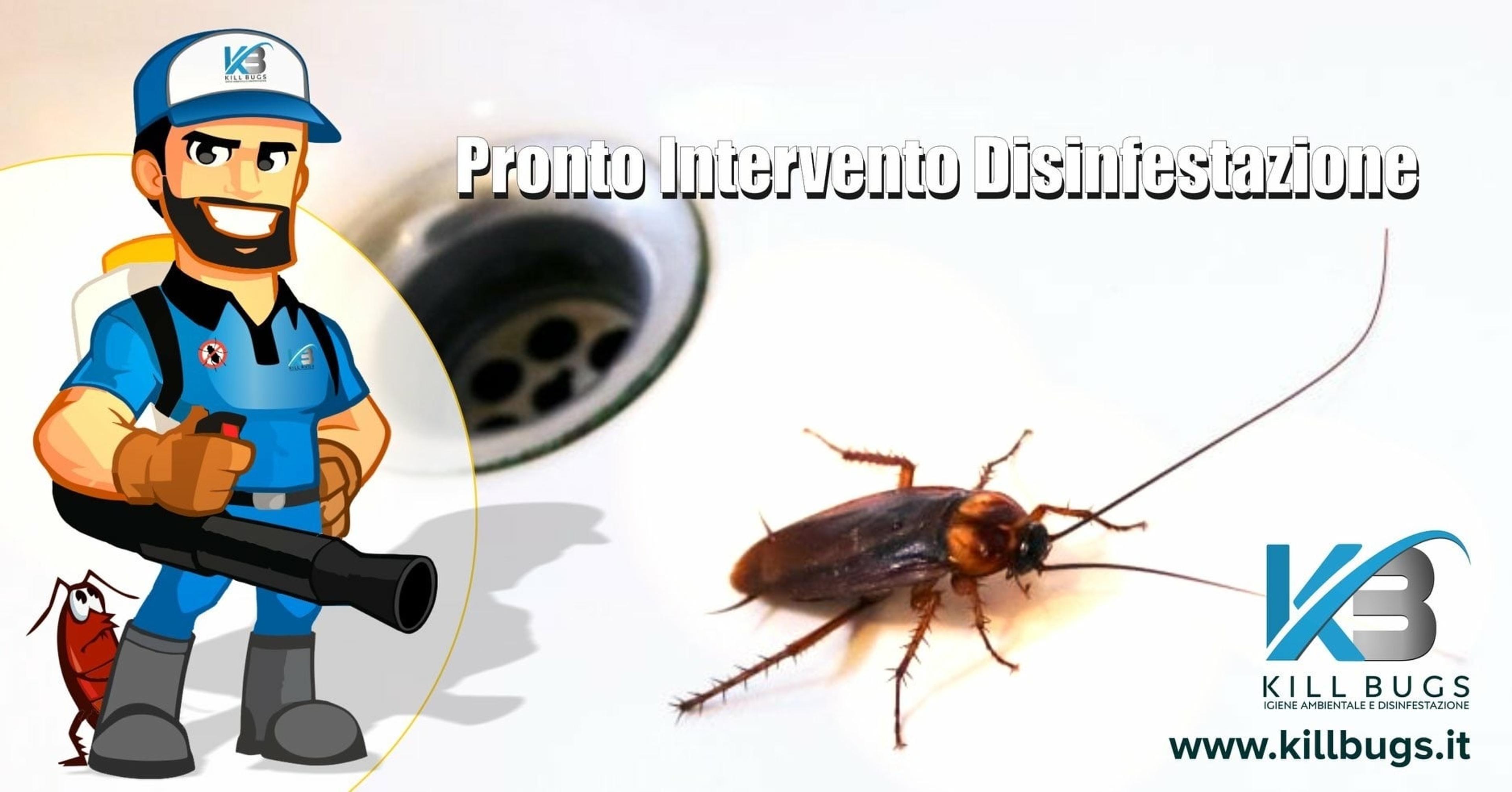 8d02ca2b-b21d-405a-8836-26c5ad29ede0.jpeg