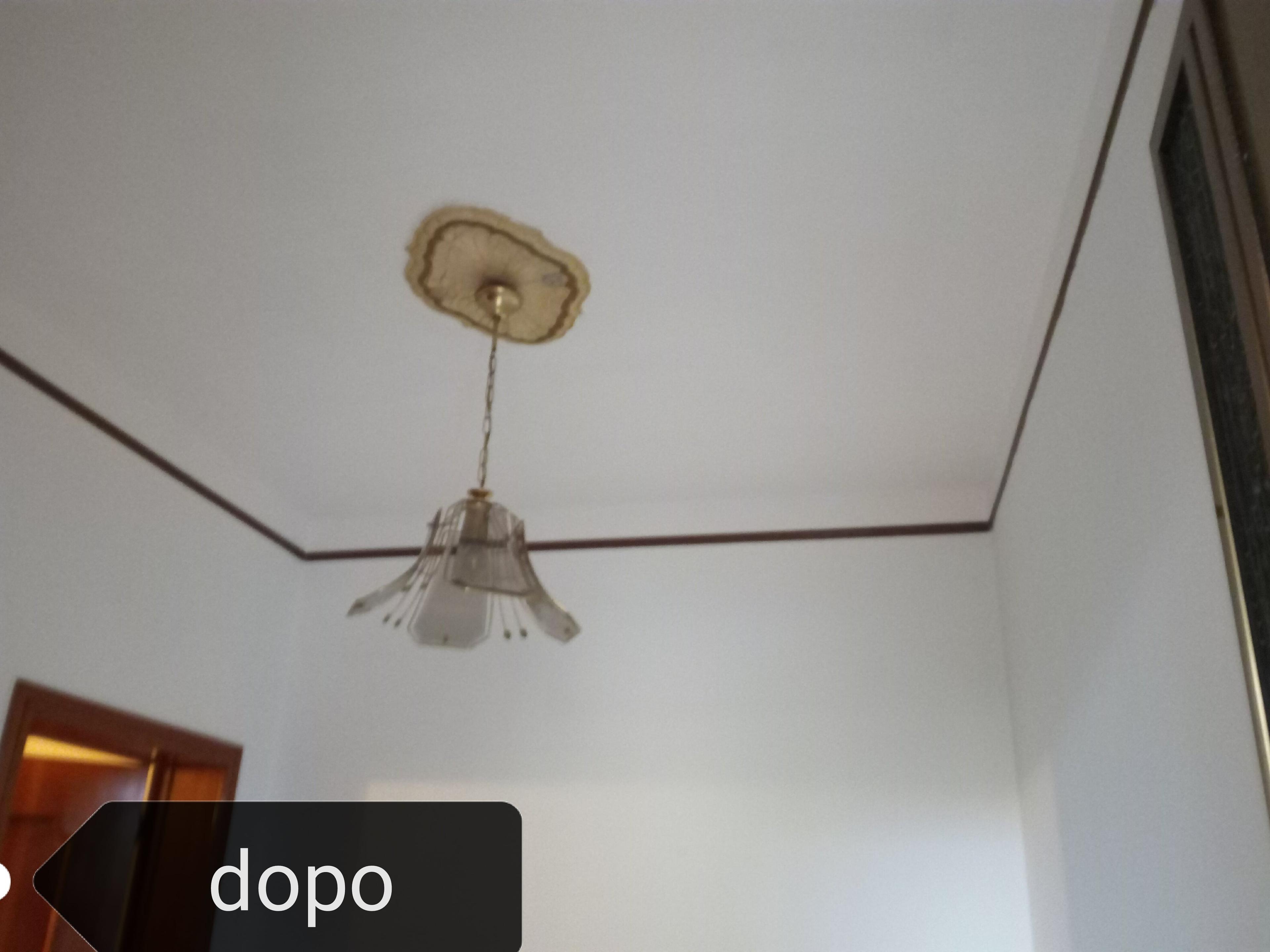 8d300fb0-f6cc-428b-9f2d-228a722a00c7.jpeg