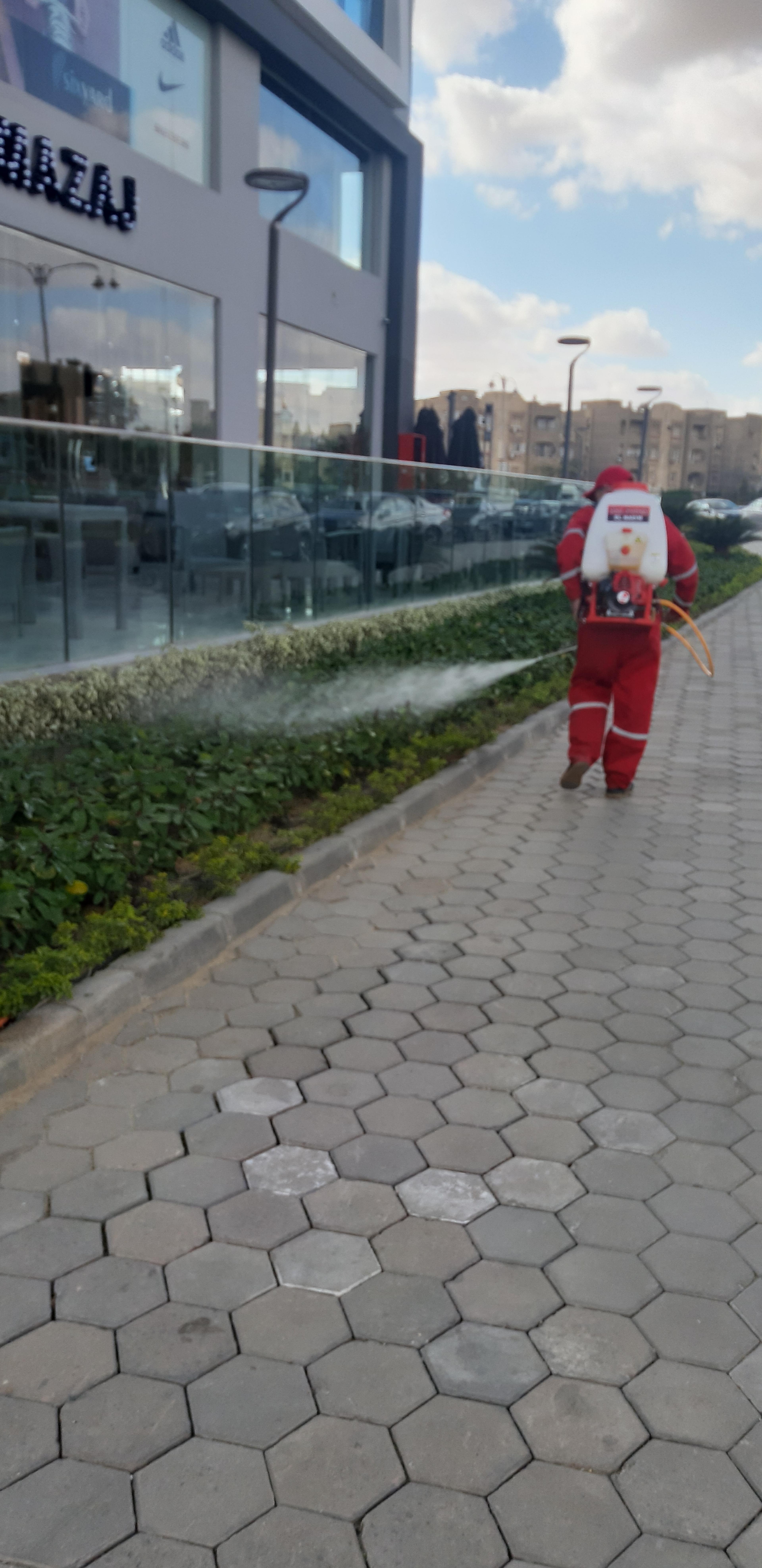 8df08655-ac69-4776-86c1-a59a9a3e3a91.jpeg