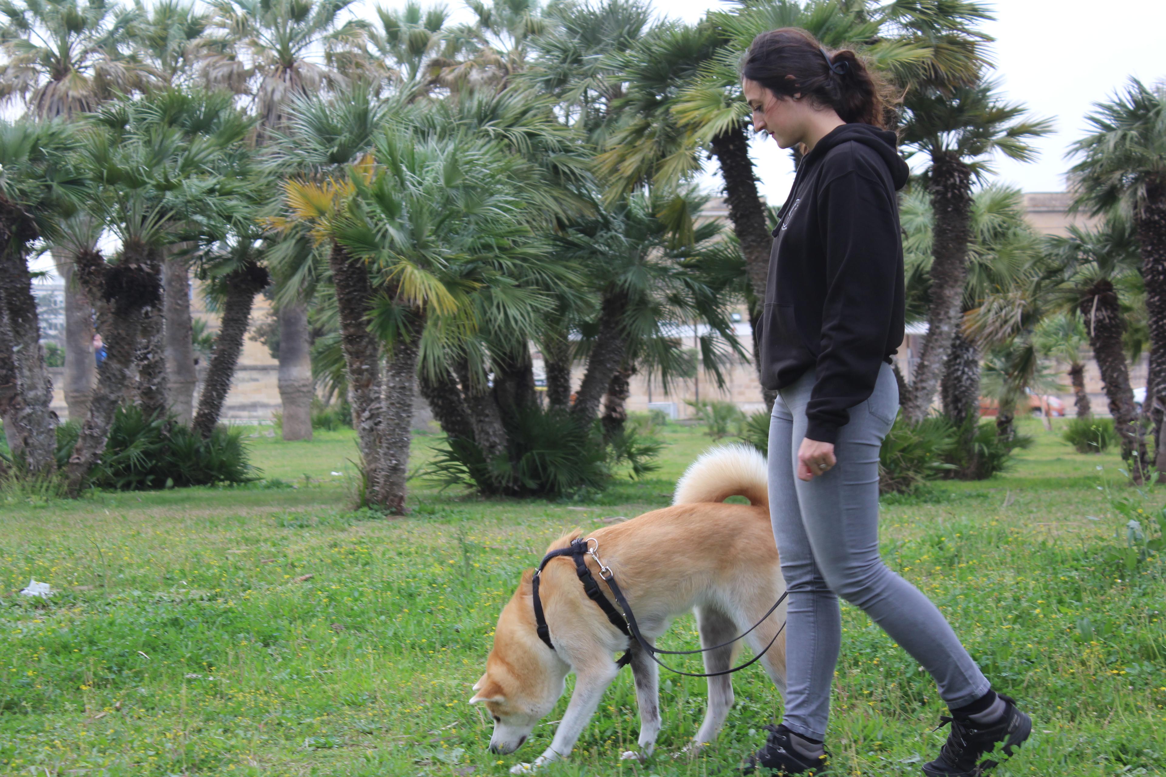 8e39bc40-7337-4957-aeff-66231cc930e7.jpeg