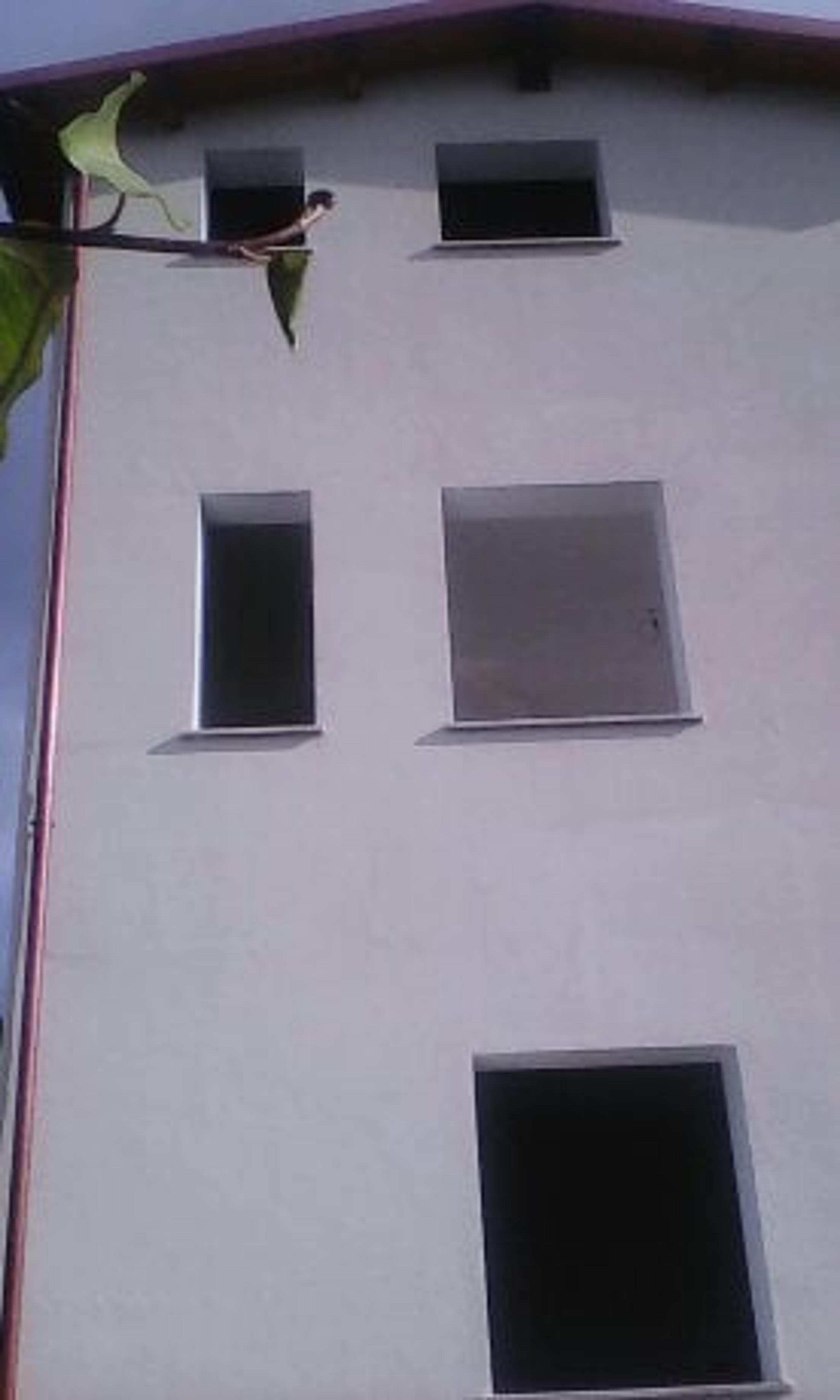 8e455bf0-3857-45fc-8adb-d27470bfa9f5.jpg