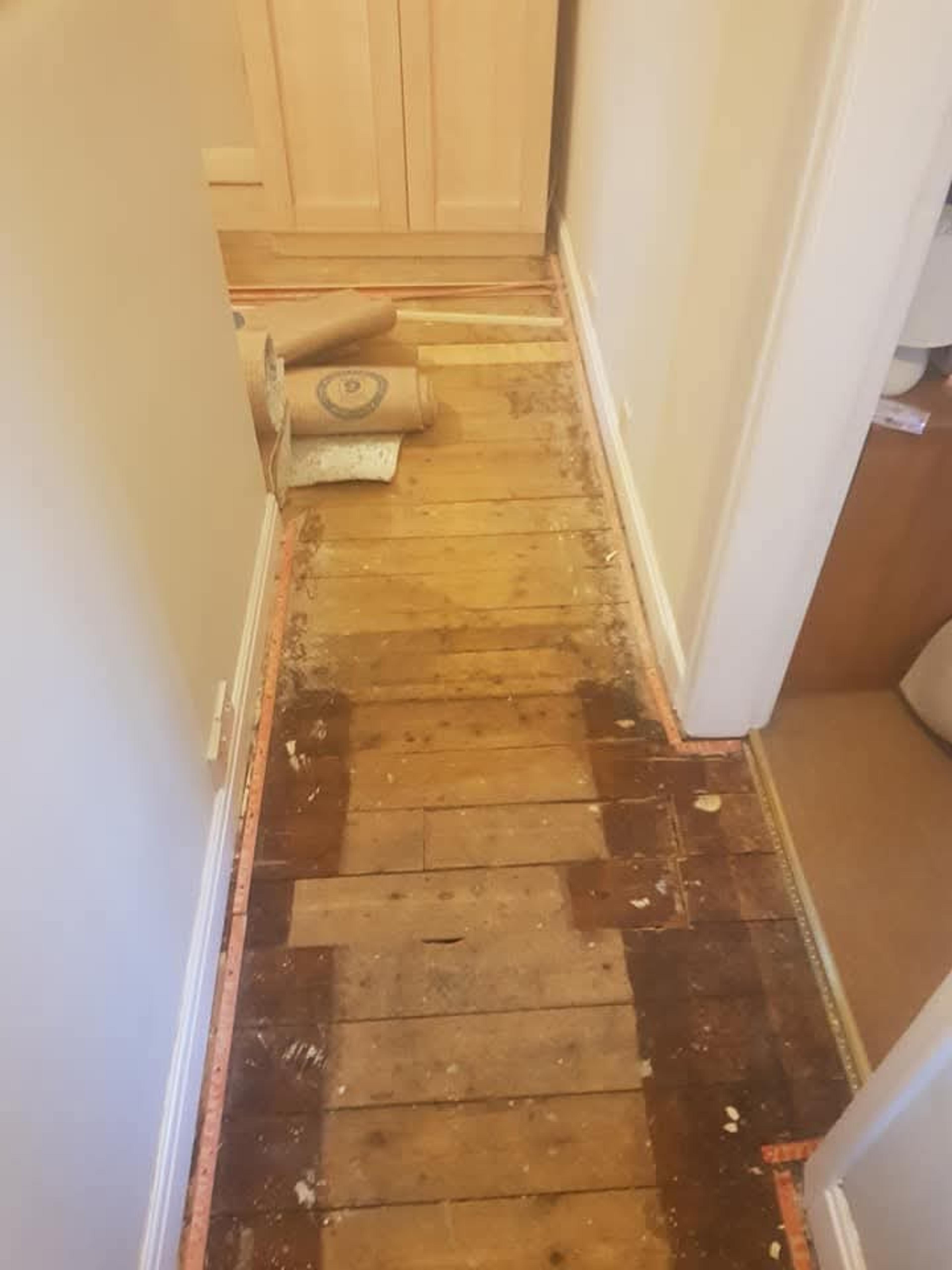 8e581282-a10d-4506-b34f-7f11b3bf6110.jpeg