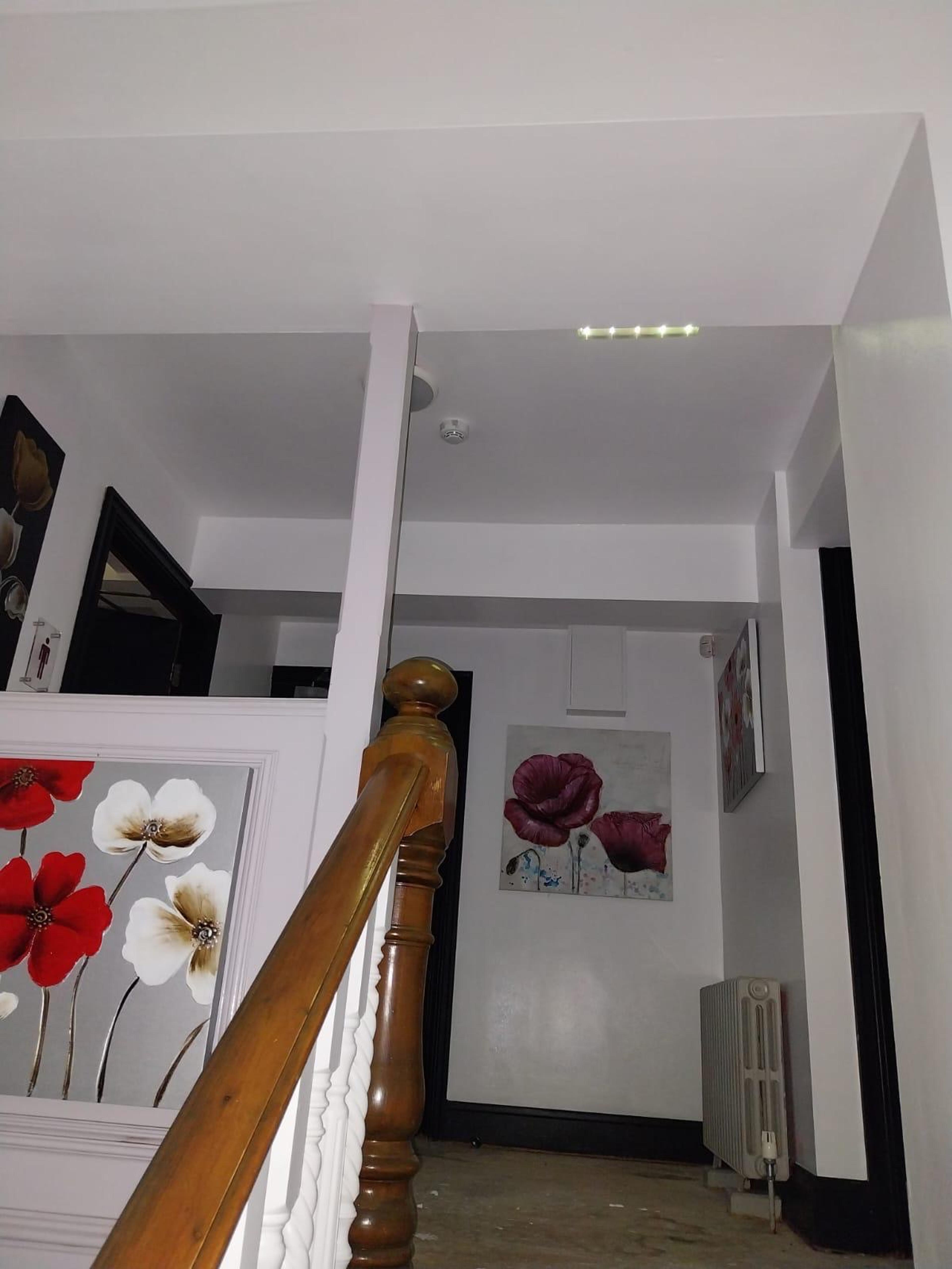 8e90822b-dbb4-4c67-8dbd-d456e132545d.jpeg