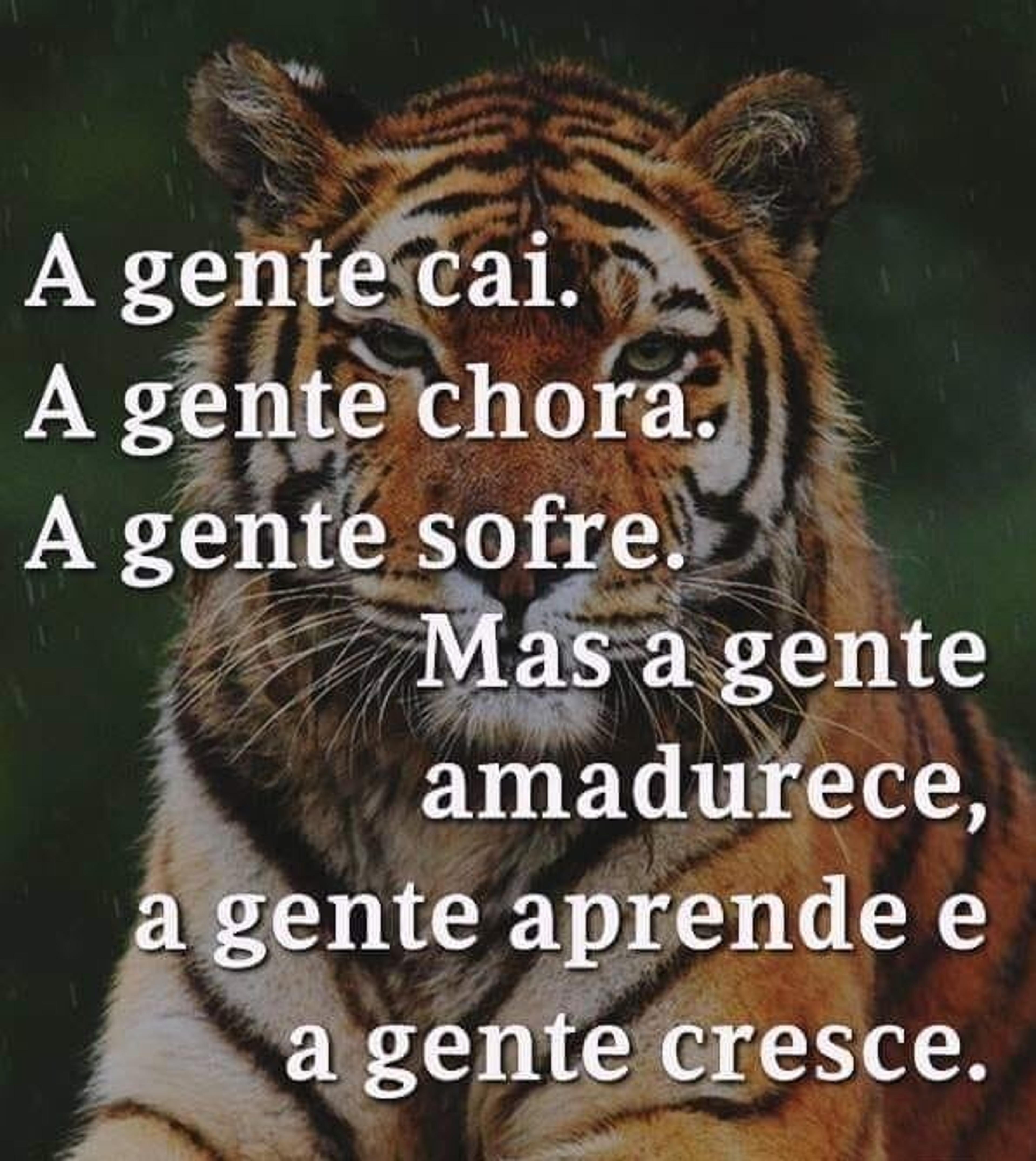 8ea383f9-50a1-40f7-8274-8007459a9290.jpeg