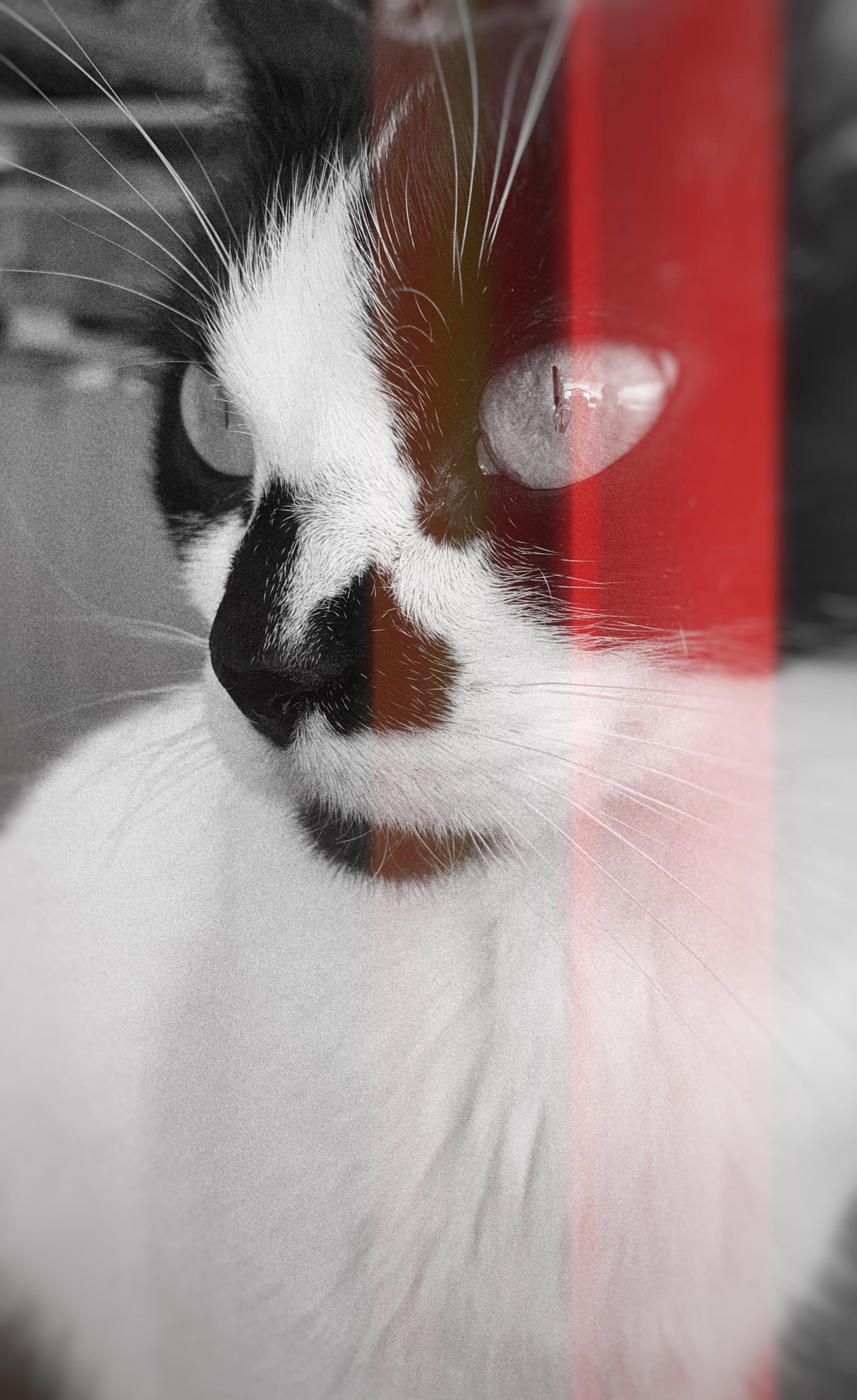 8ec0e034-9899-404b-bb84-21051cf3775a.jpeg