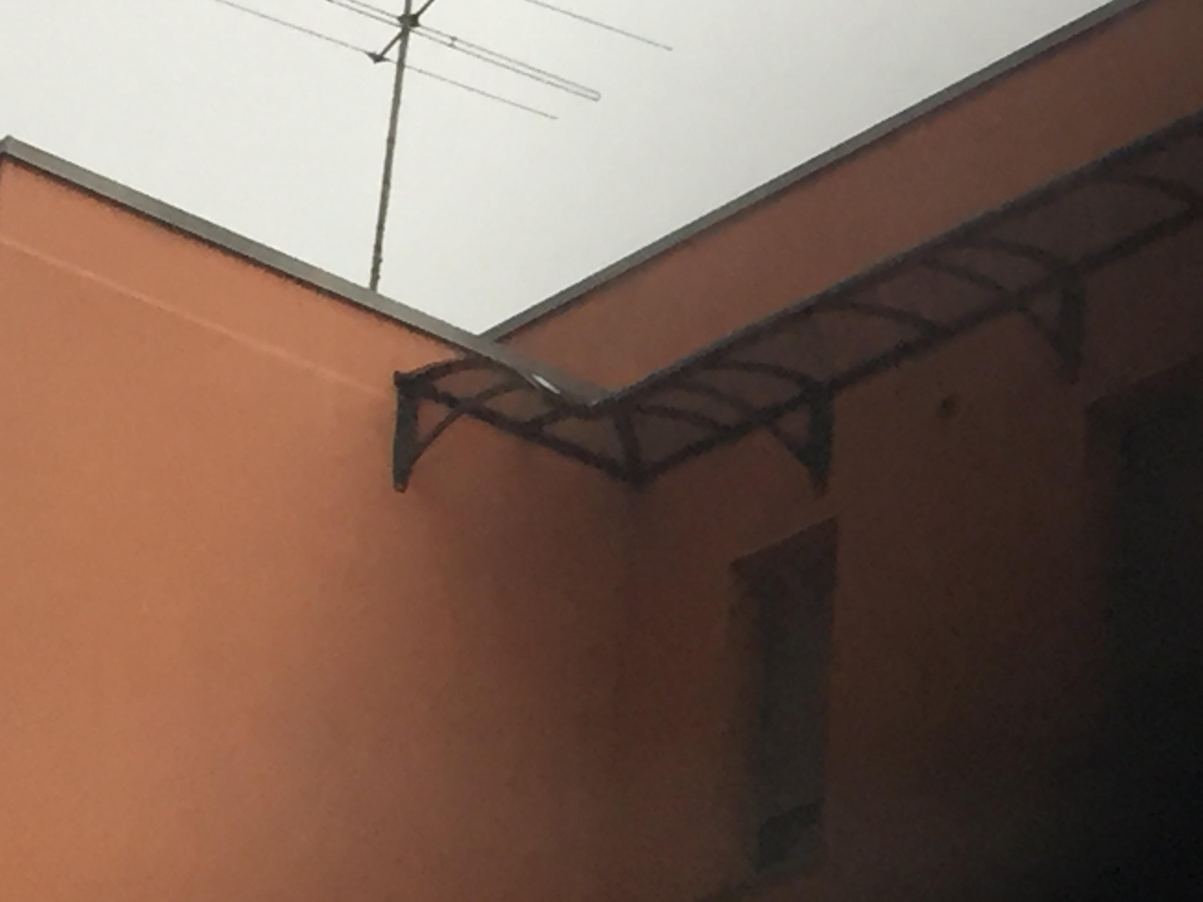 8f936c0e-05e1-49f4-ba22-ca96389a7885.jpeg