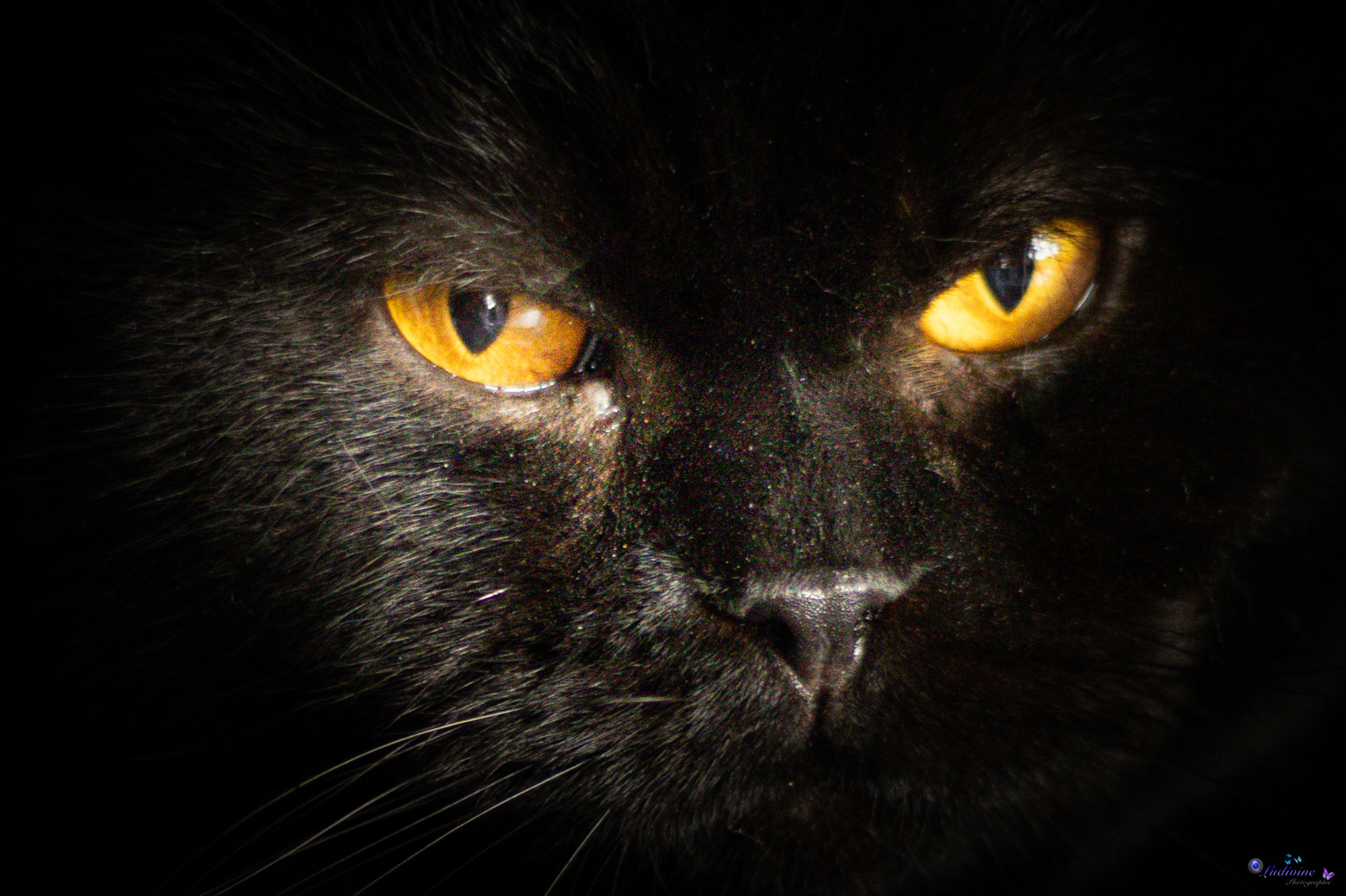 8fe06535-c5ae-4946-8777-b28d9275767d.jpeg