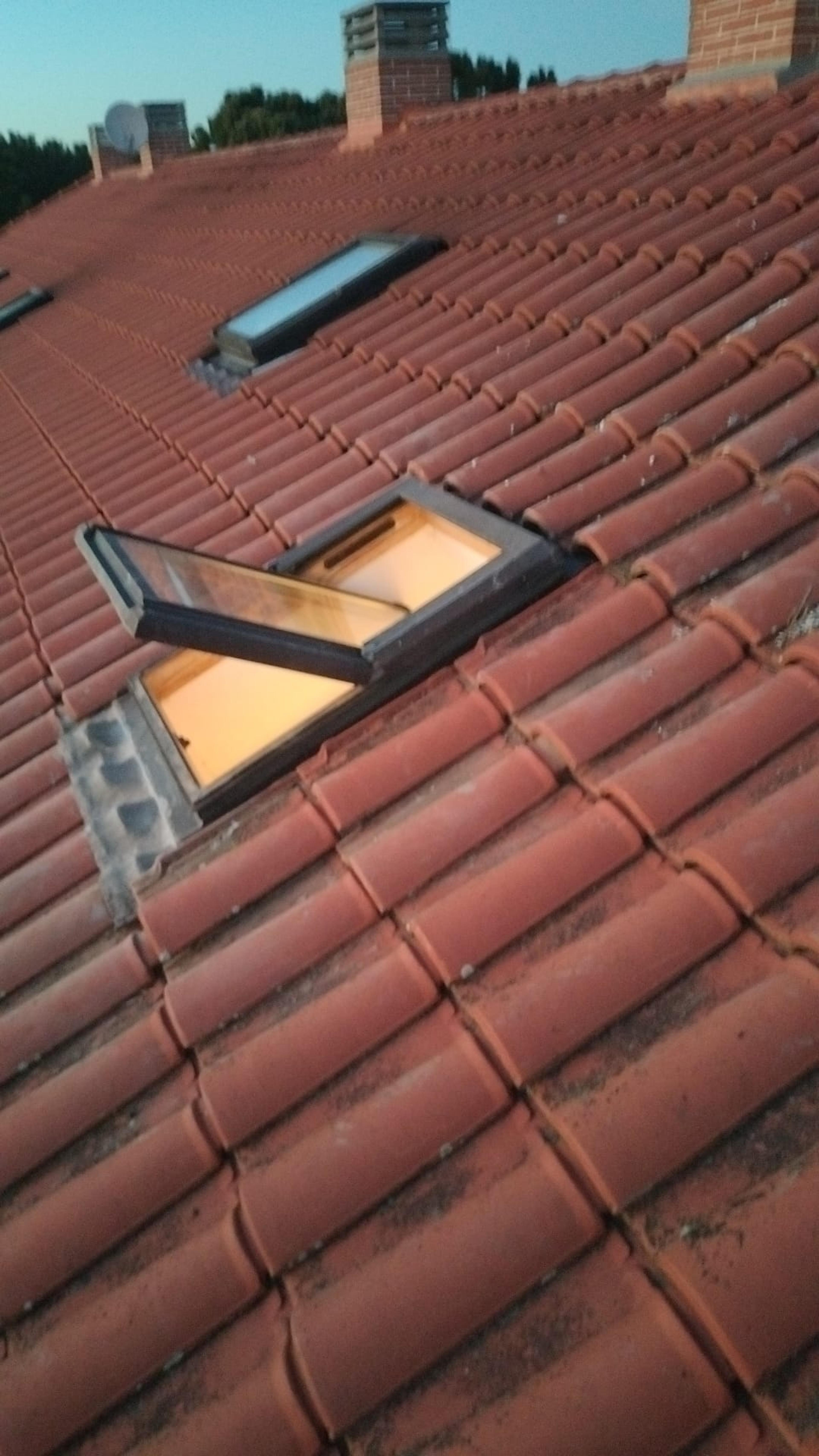 90d0c80b-ab90-4d28-bd37-8aac768dc62a.jpeg