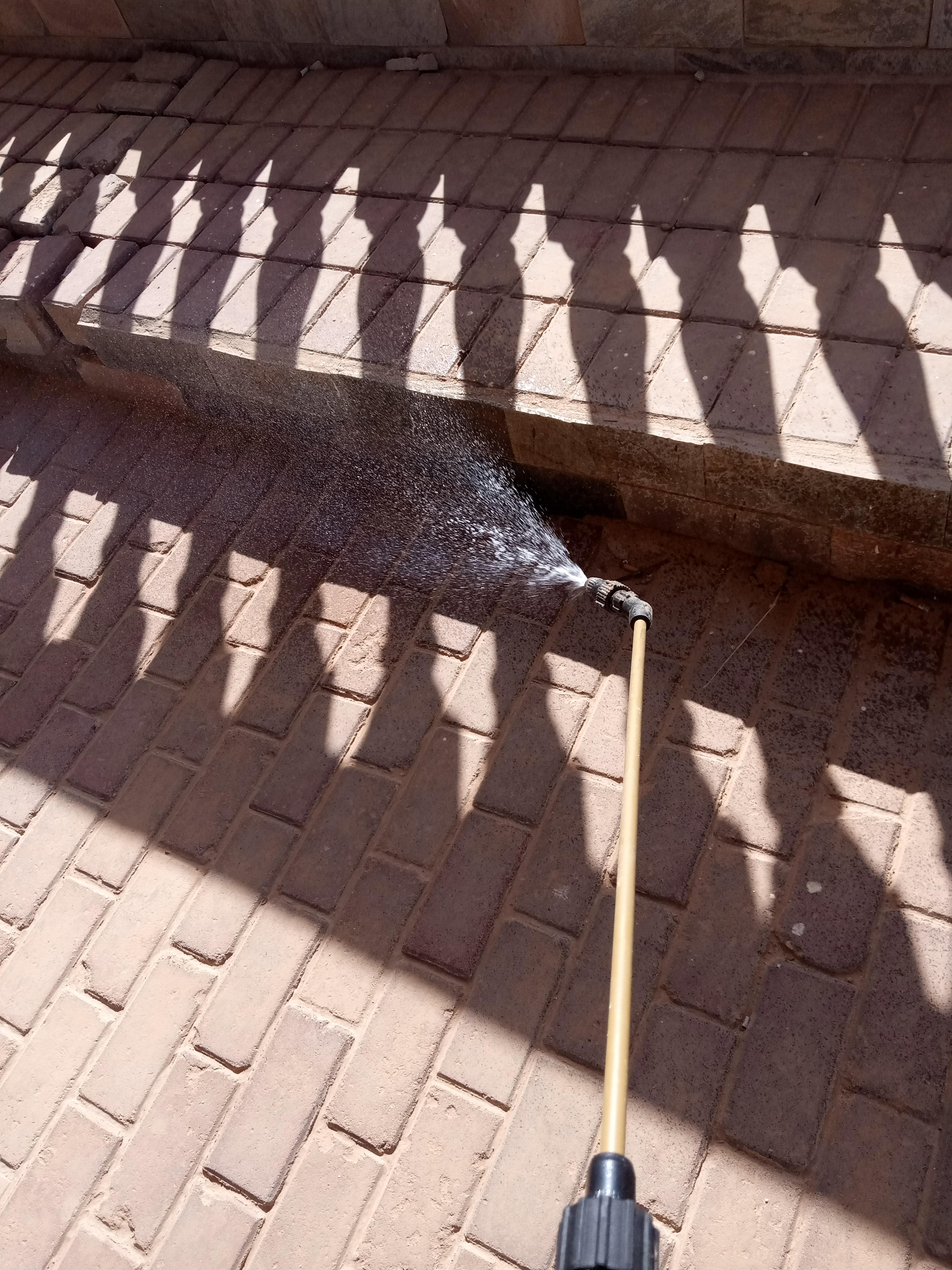 913a7d2d-cd55-464b-80fa-161d1375d1d3.jpeg