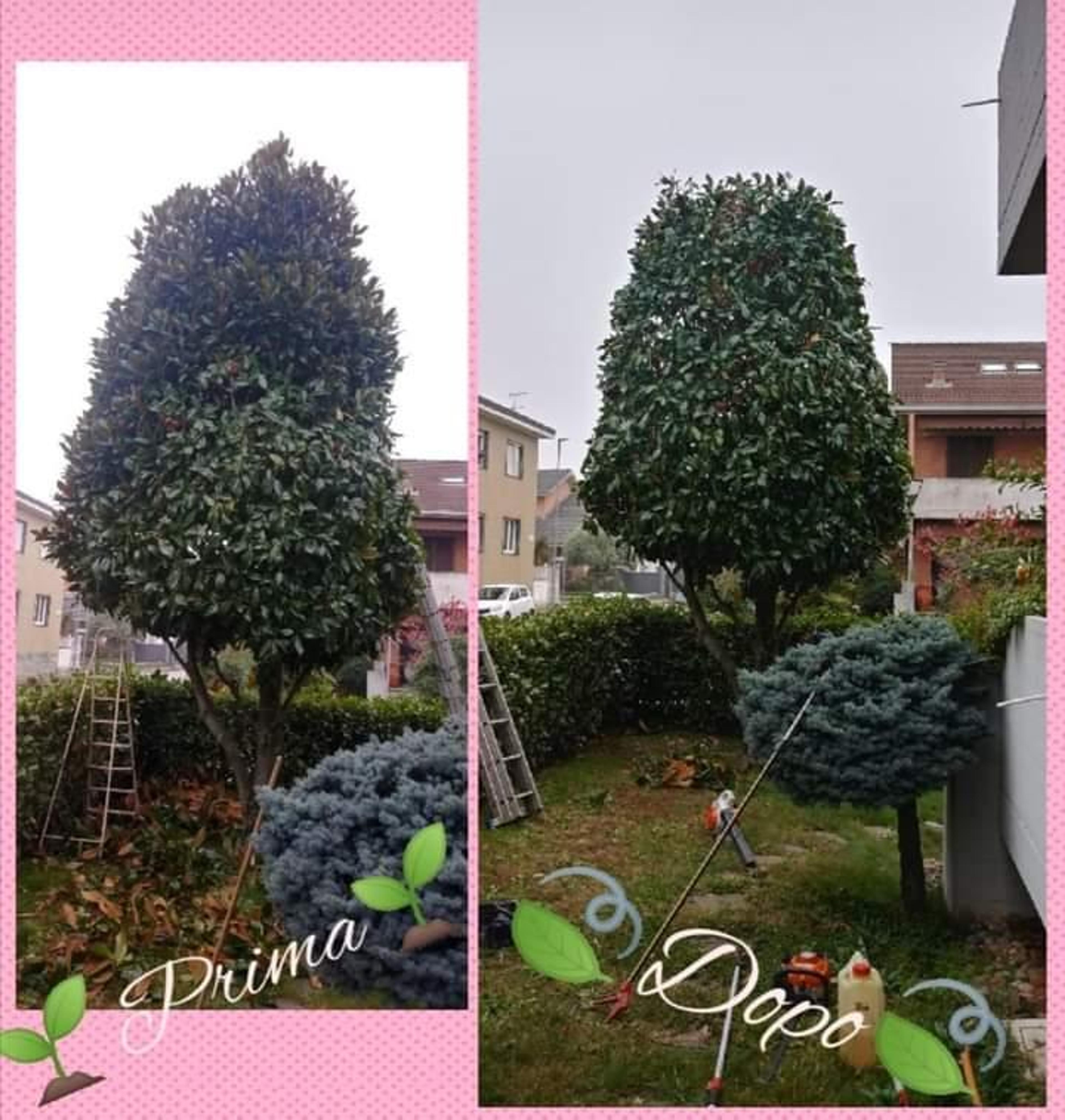 914df9bc-b70e-40f2-a5ab-20b915107d1e.jpeg