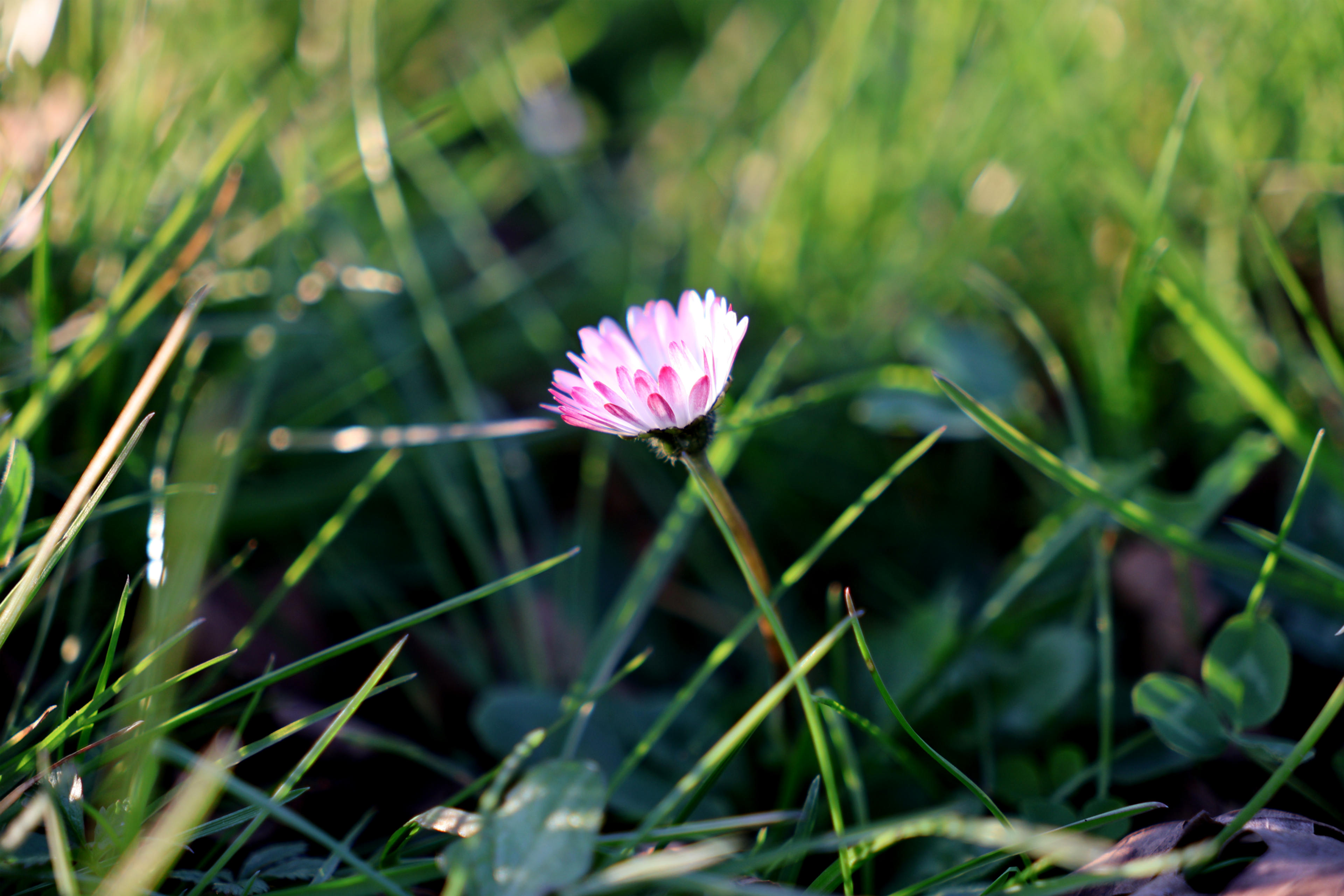 9180aff8-66b7-4c4f-8144-818690b518f2.png