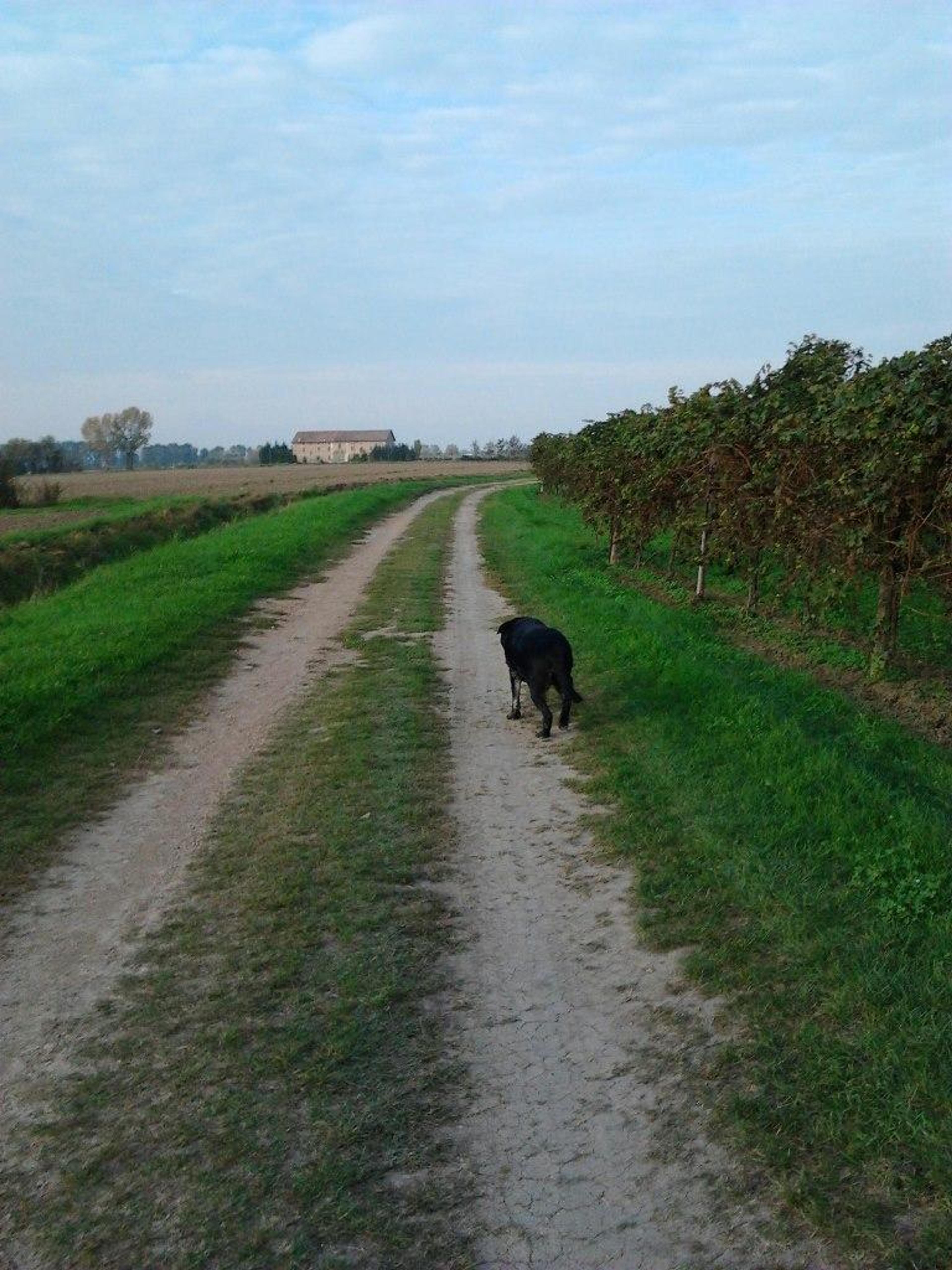 91be4607-98e9-4fd4-82a3-5a3d7debd271.jpeg