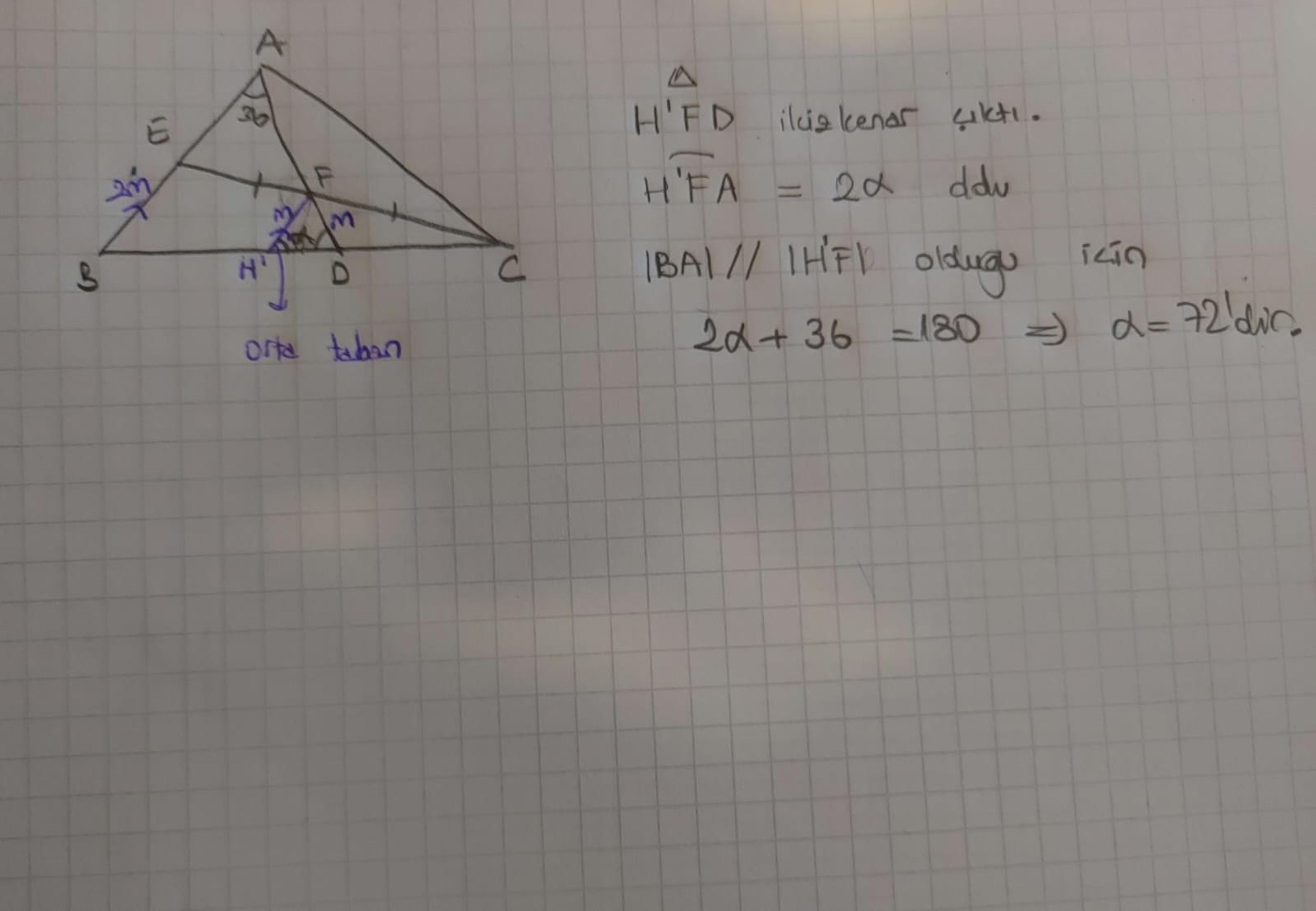 91fb7be0-8272-4f78-835f-a777be8fc1f6.jpeg