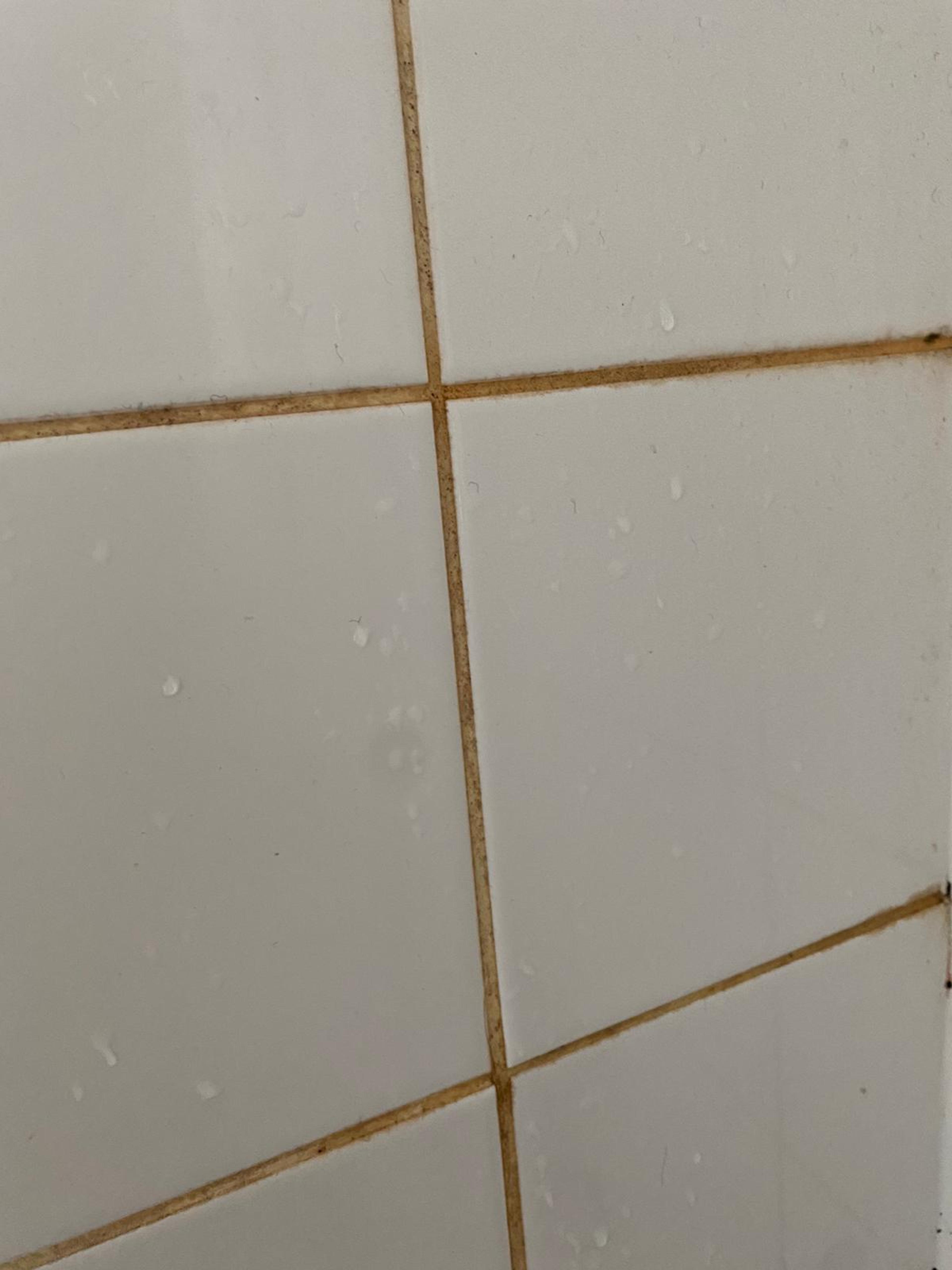 9263b9ad-99c0-405f-a7b9-b90b0d68fe9c.jpeg