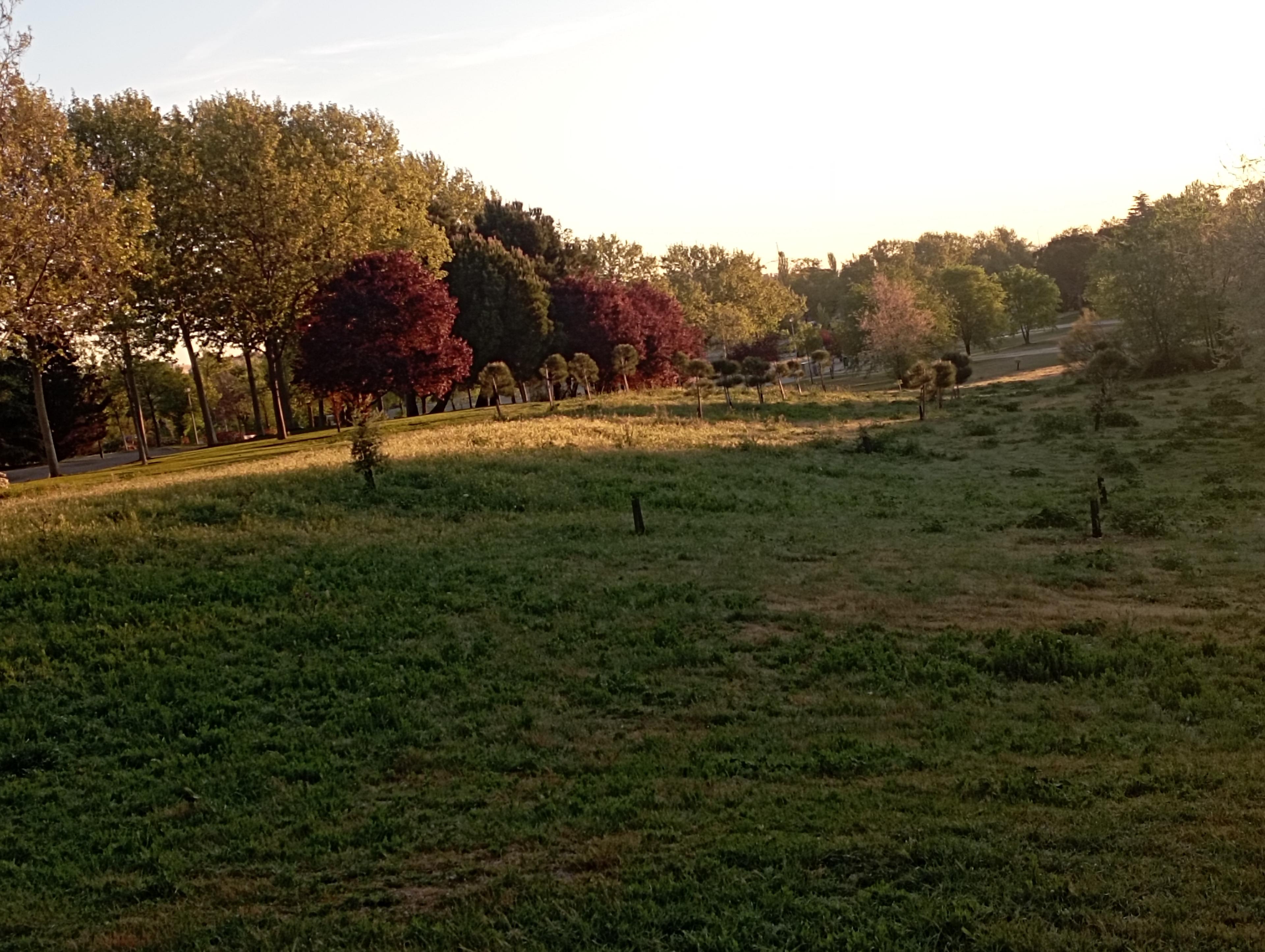 92a7196c-b64f-4e0a-b90f-08828b153d04.jpeg