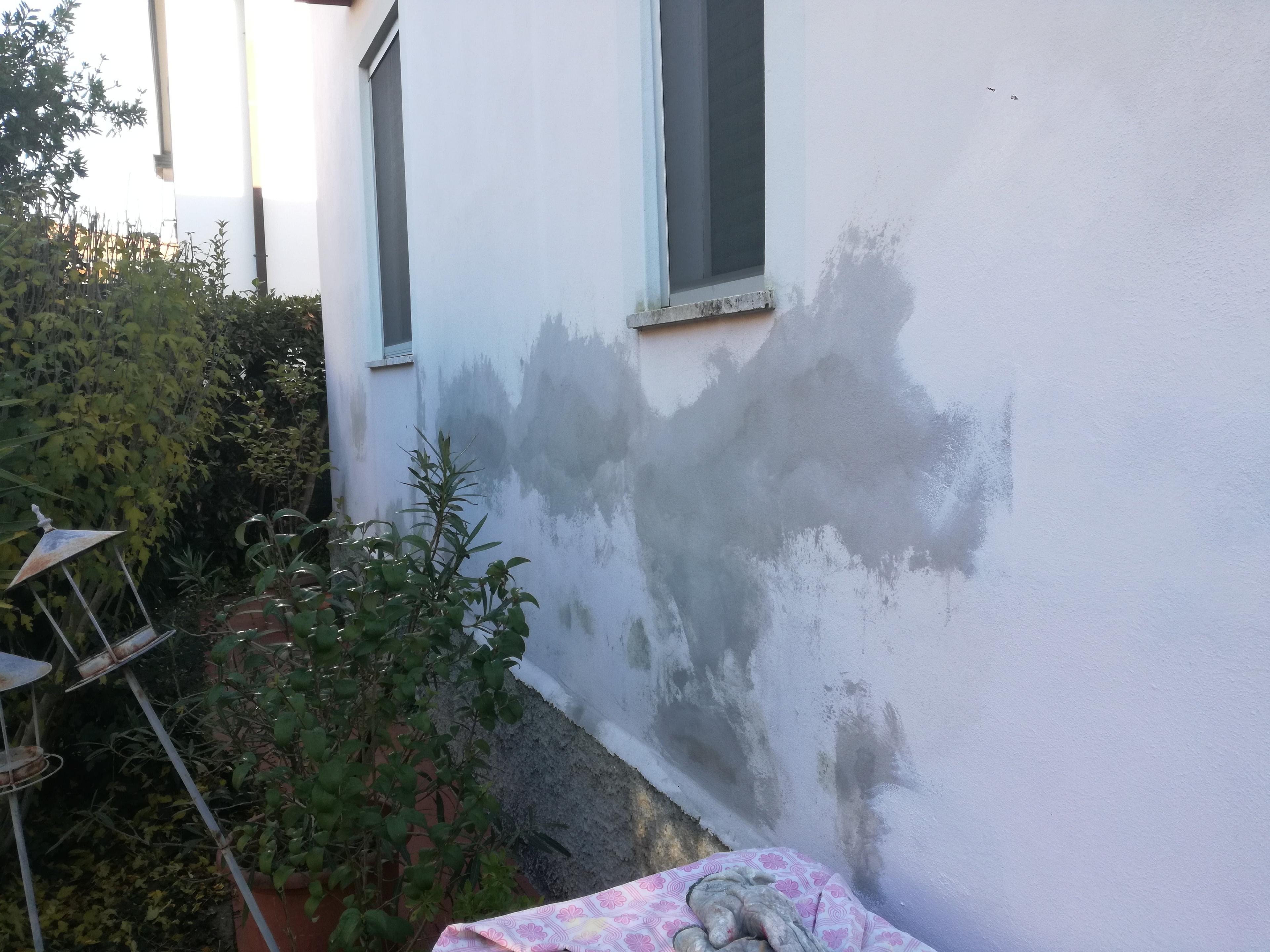 92fe06a3-36ce-4024-94d3-e1a49674de39.jpeg