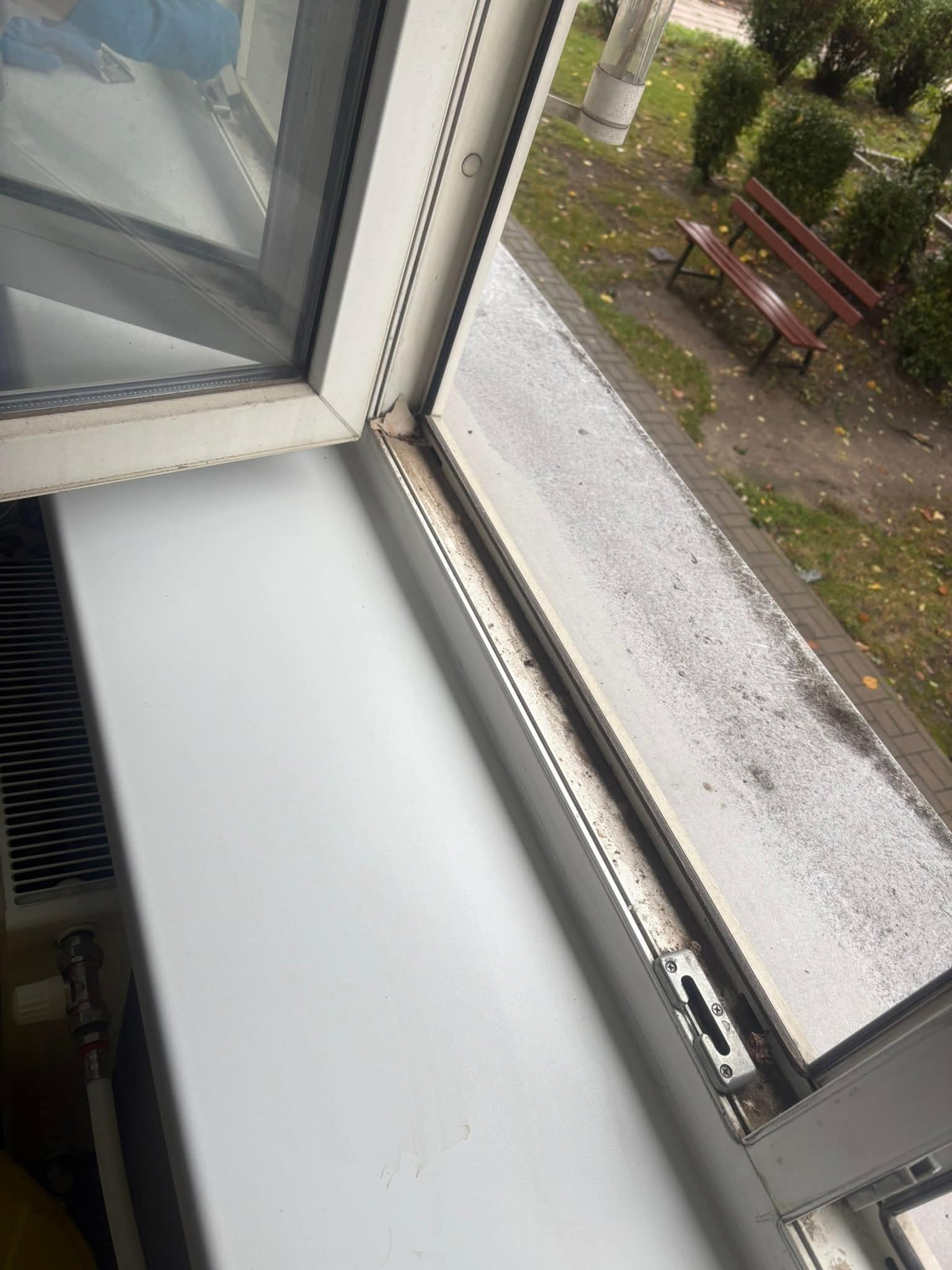 93934e72-0deb-42a1-bed2-3c66e3416add.jpeg