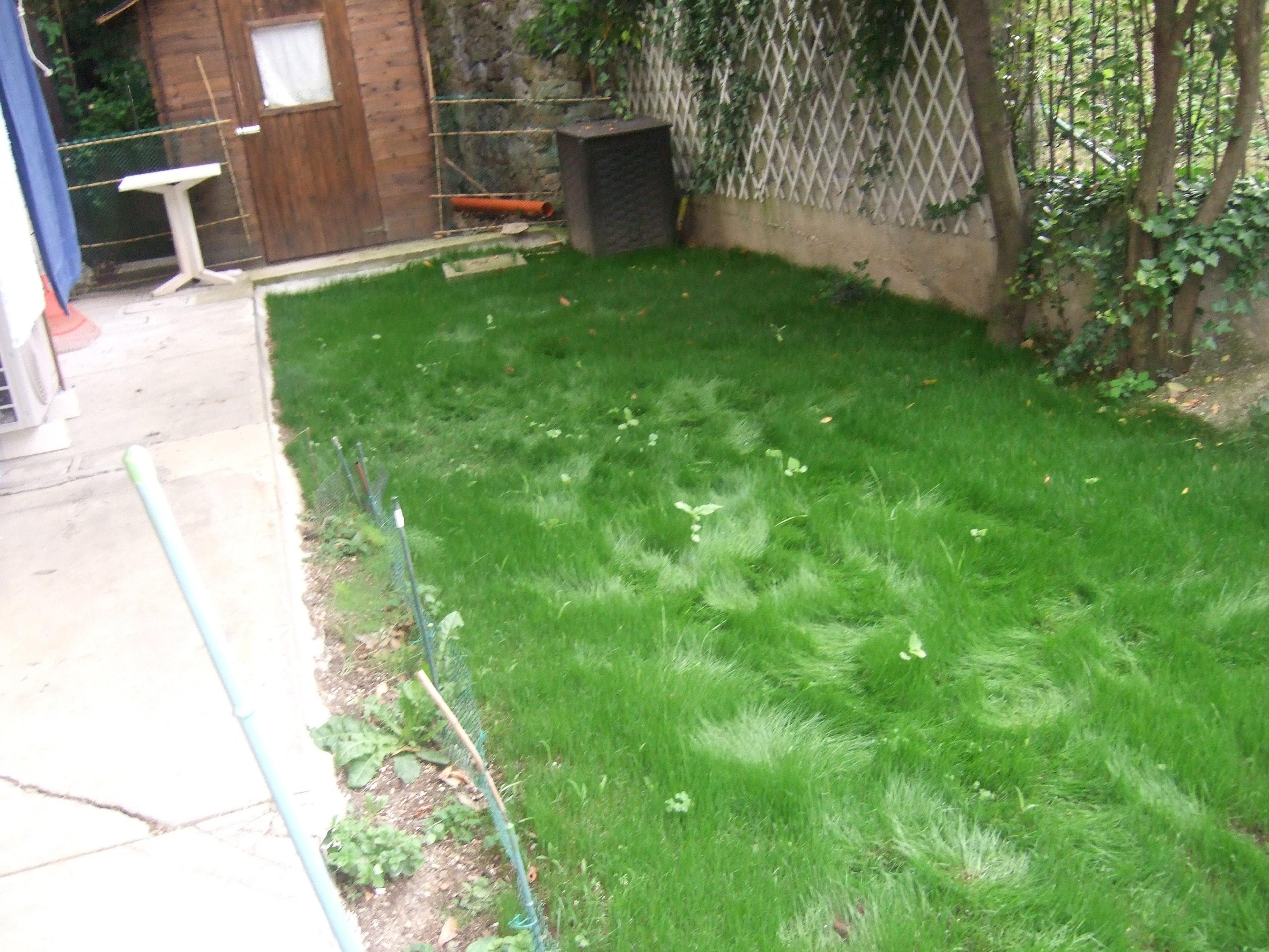 93d61cf2-f82e-44ed-a657-cecf4458cc03.jpeg