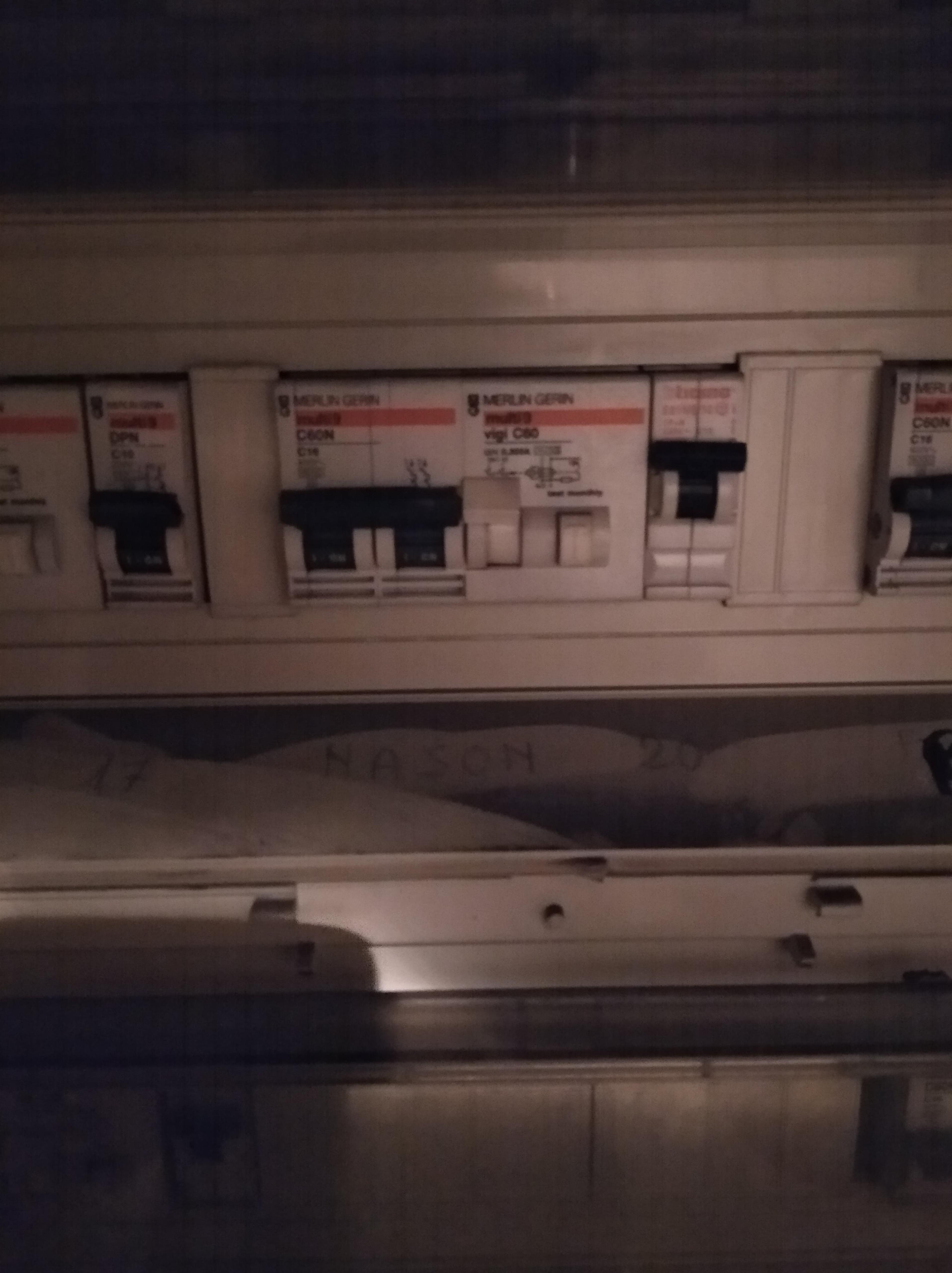 950f30e0-f0d7-45da-a77c-dfa668939726.jpeg